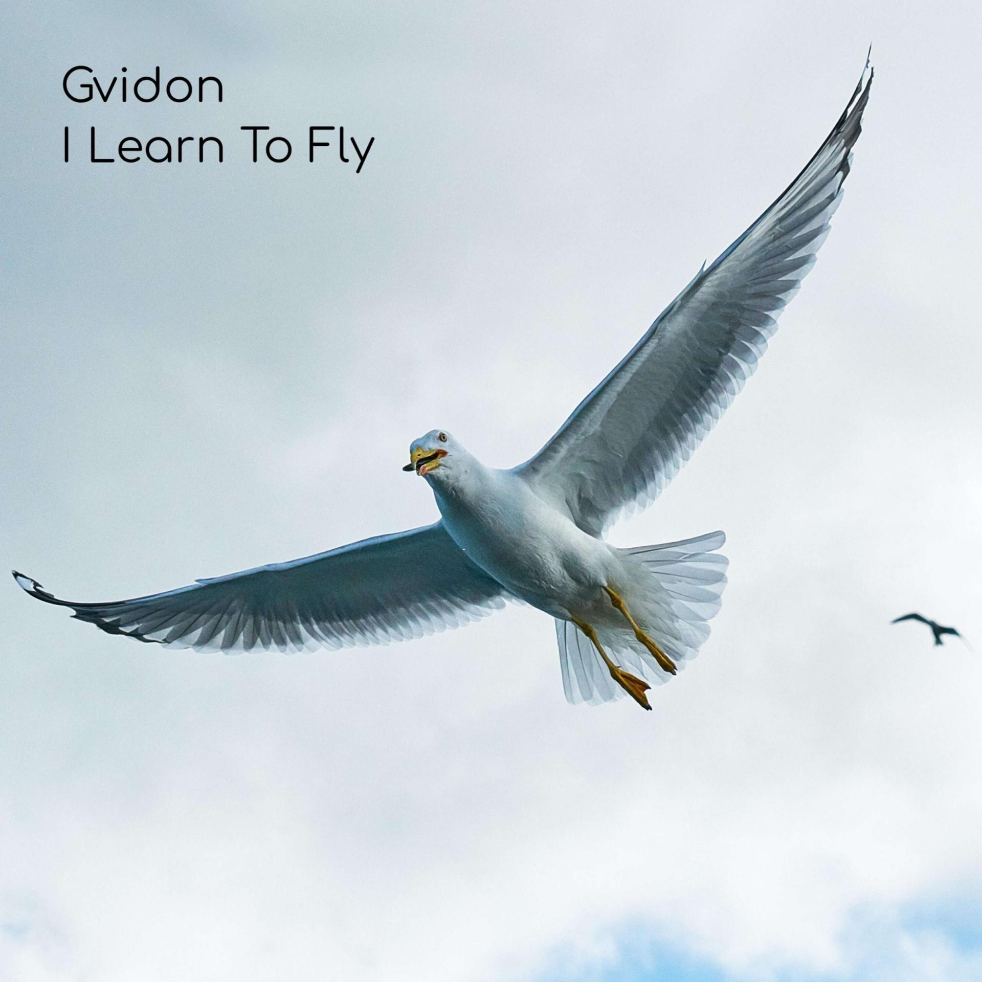 Постер альбома I Learn To Fly