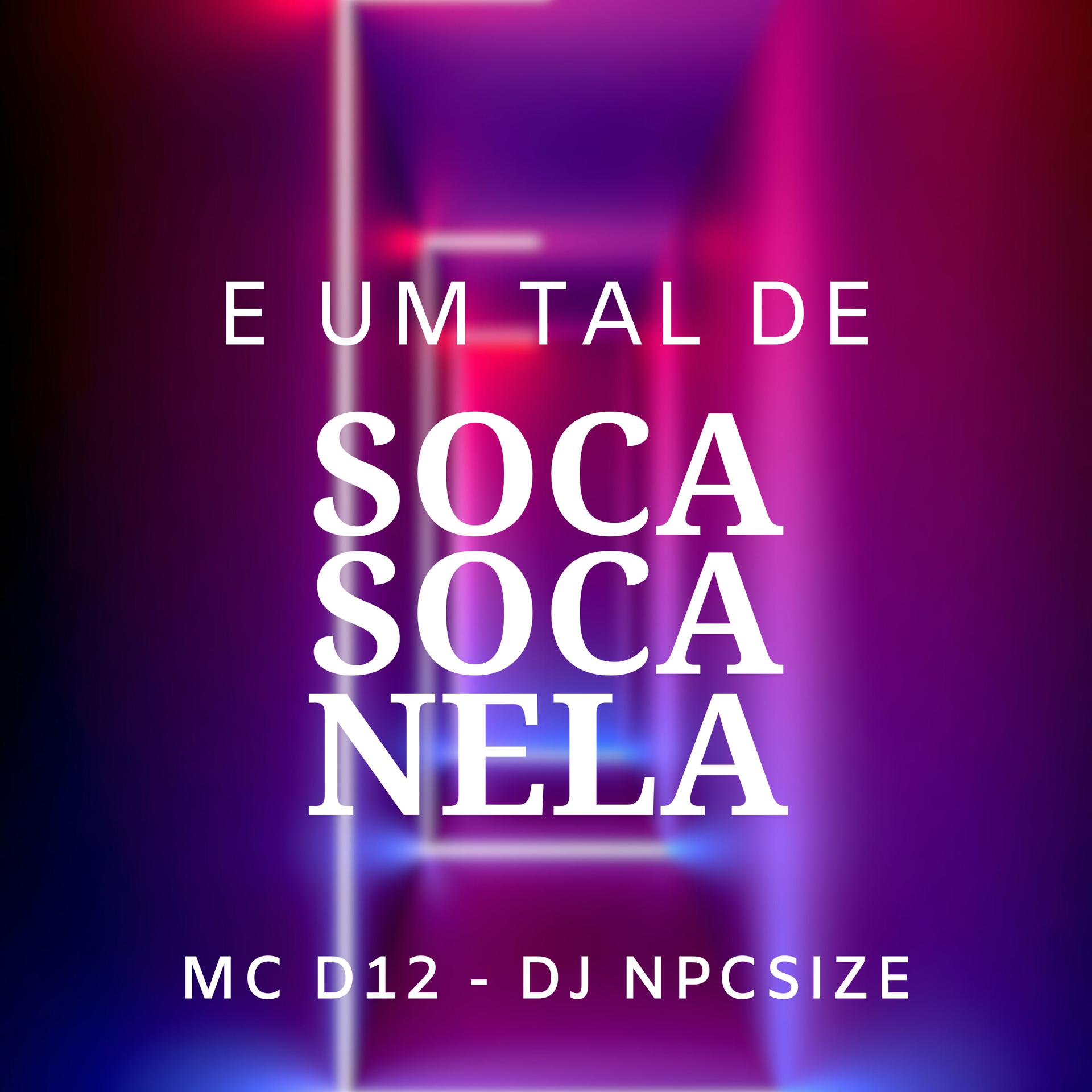 Постер альбома E um Tal de Soca Soca Nela