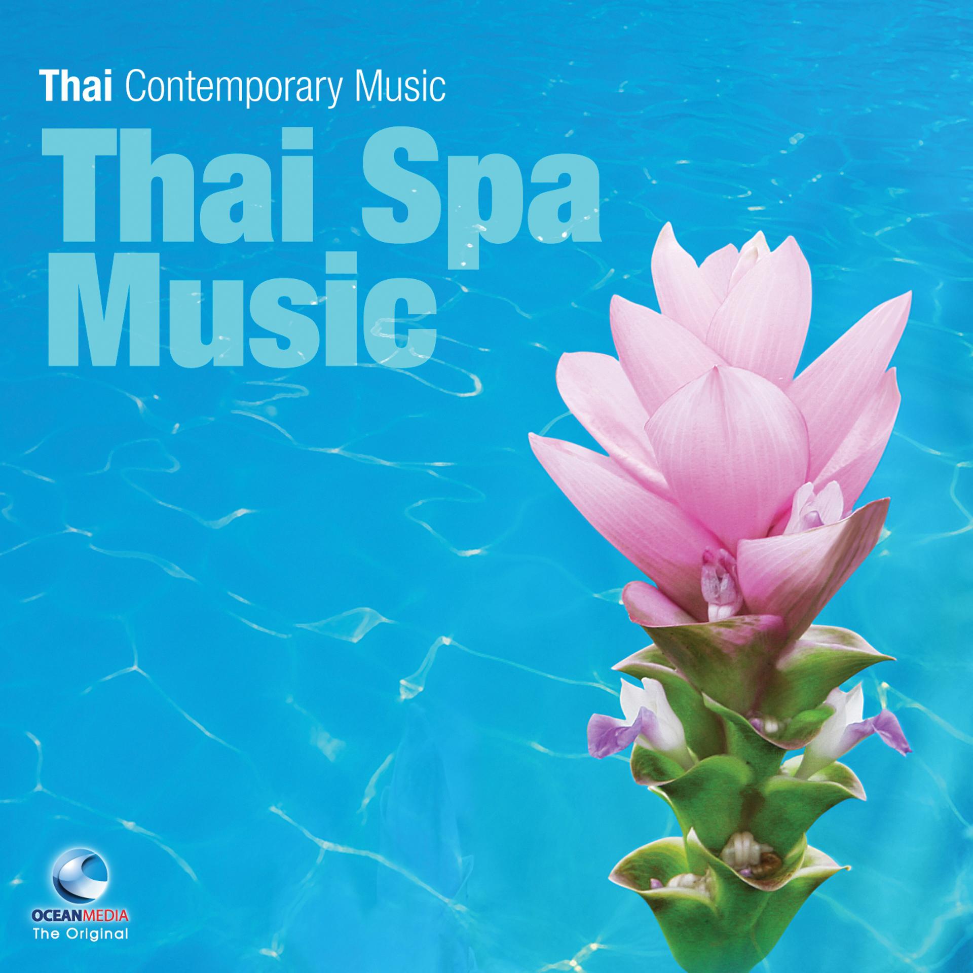 Постер альбома Thai Spa Music