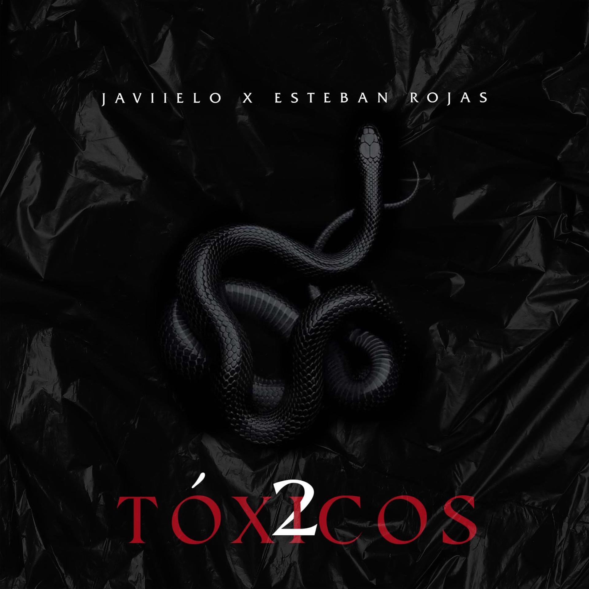 Постер альбома 2 Tóxicos