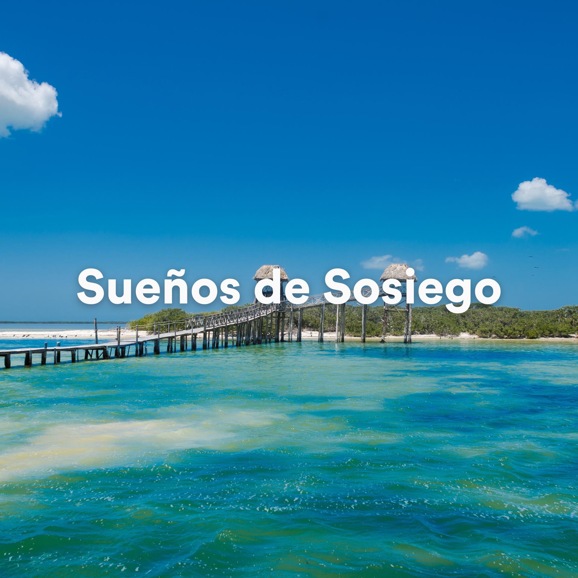 Постер альбома Sueños de Sosiego