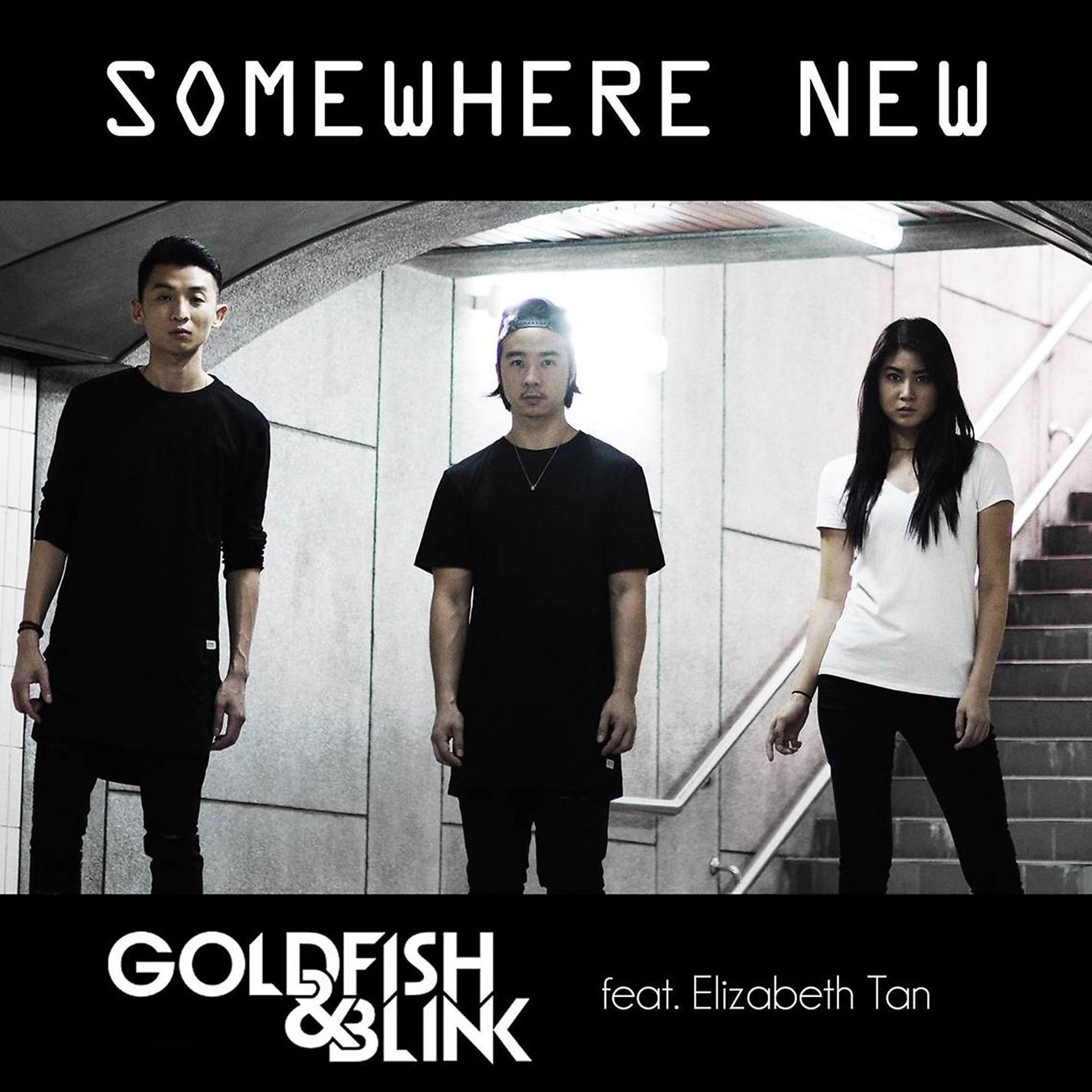 Постер альбома Somewhere New (feat. Elizabeth Tan)