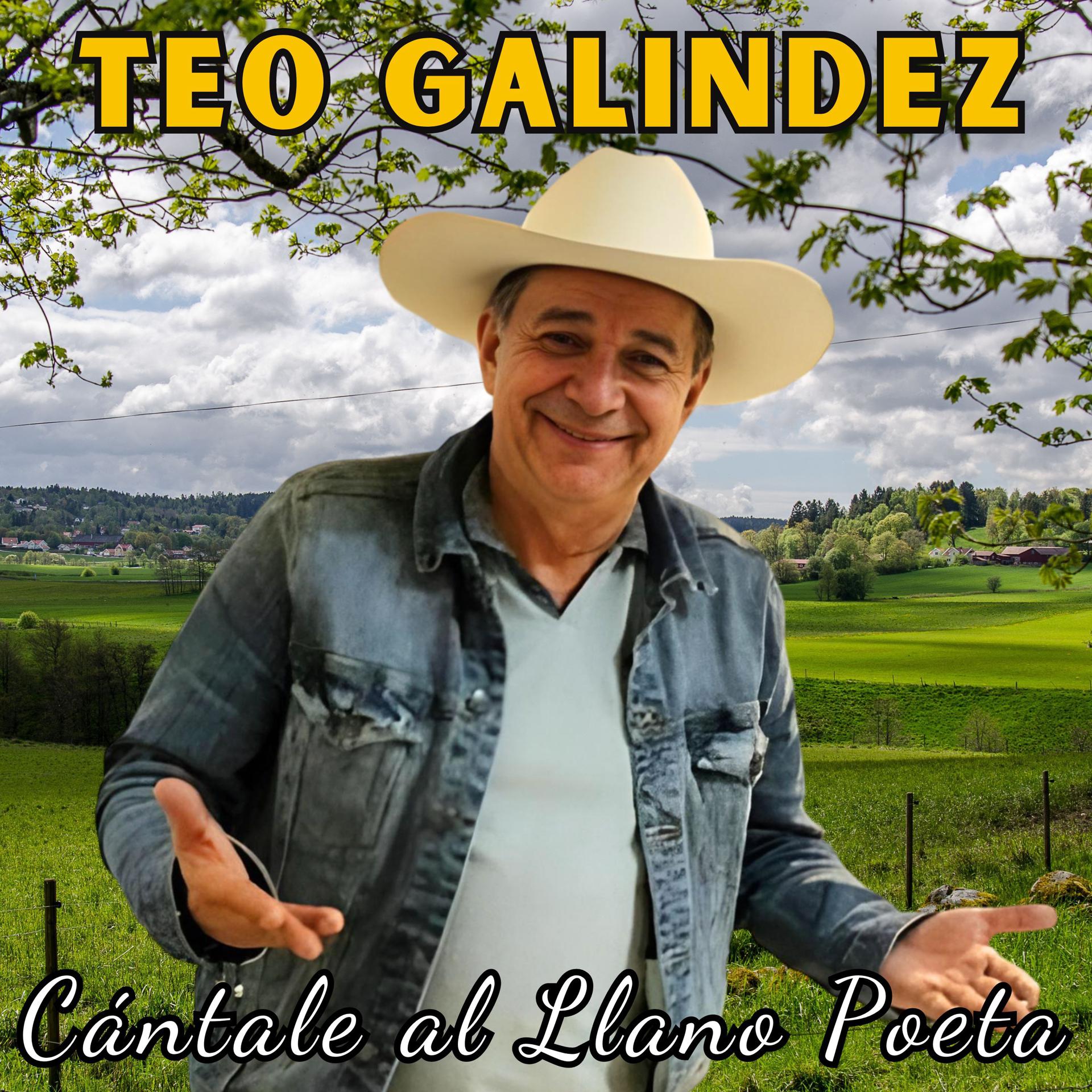 Постер альбома Cántale al Llano Poeta