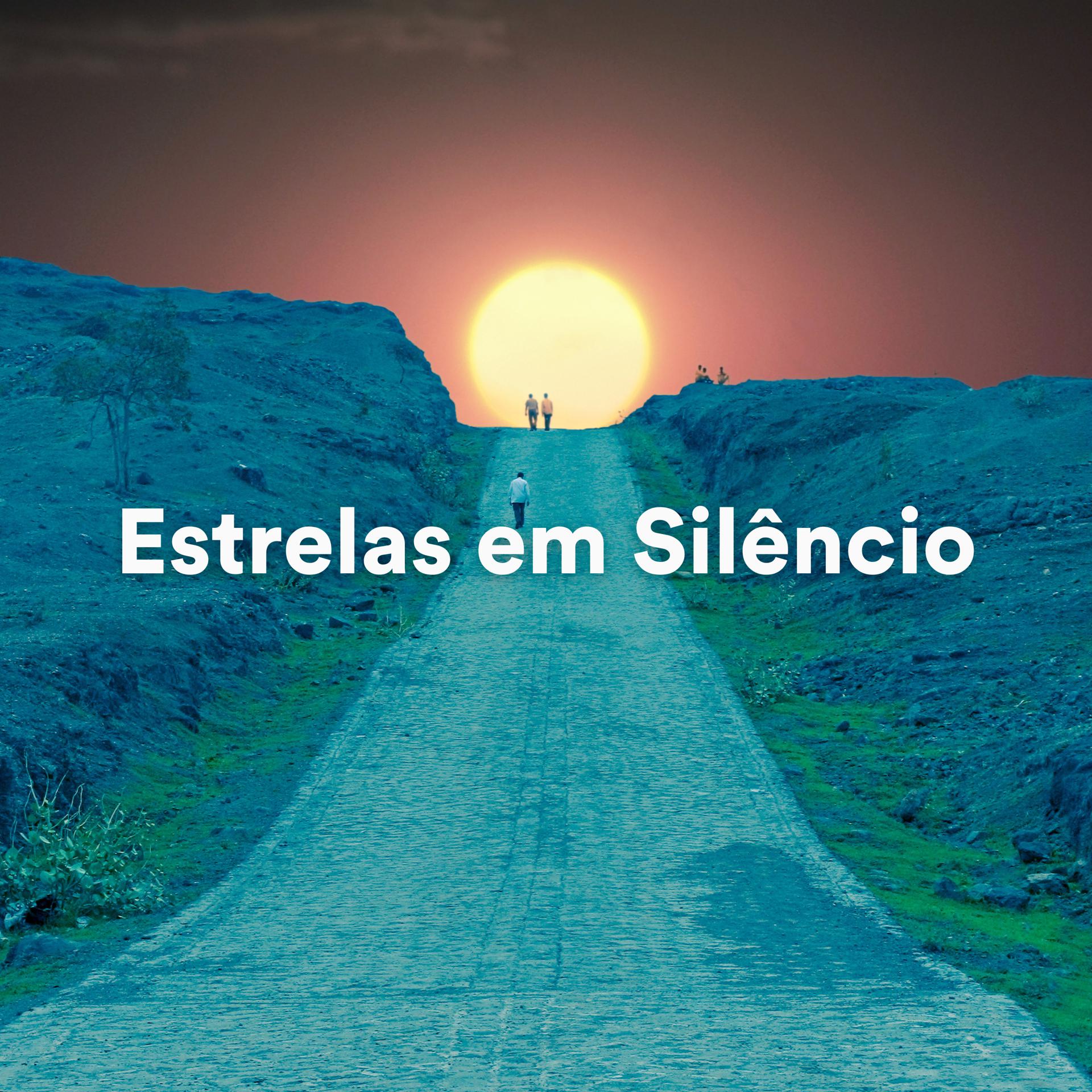 Постер альбома Estrelas em Silêncio