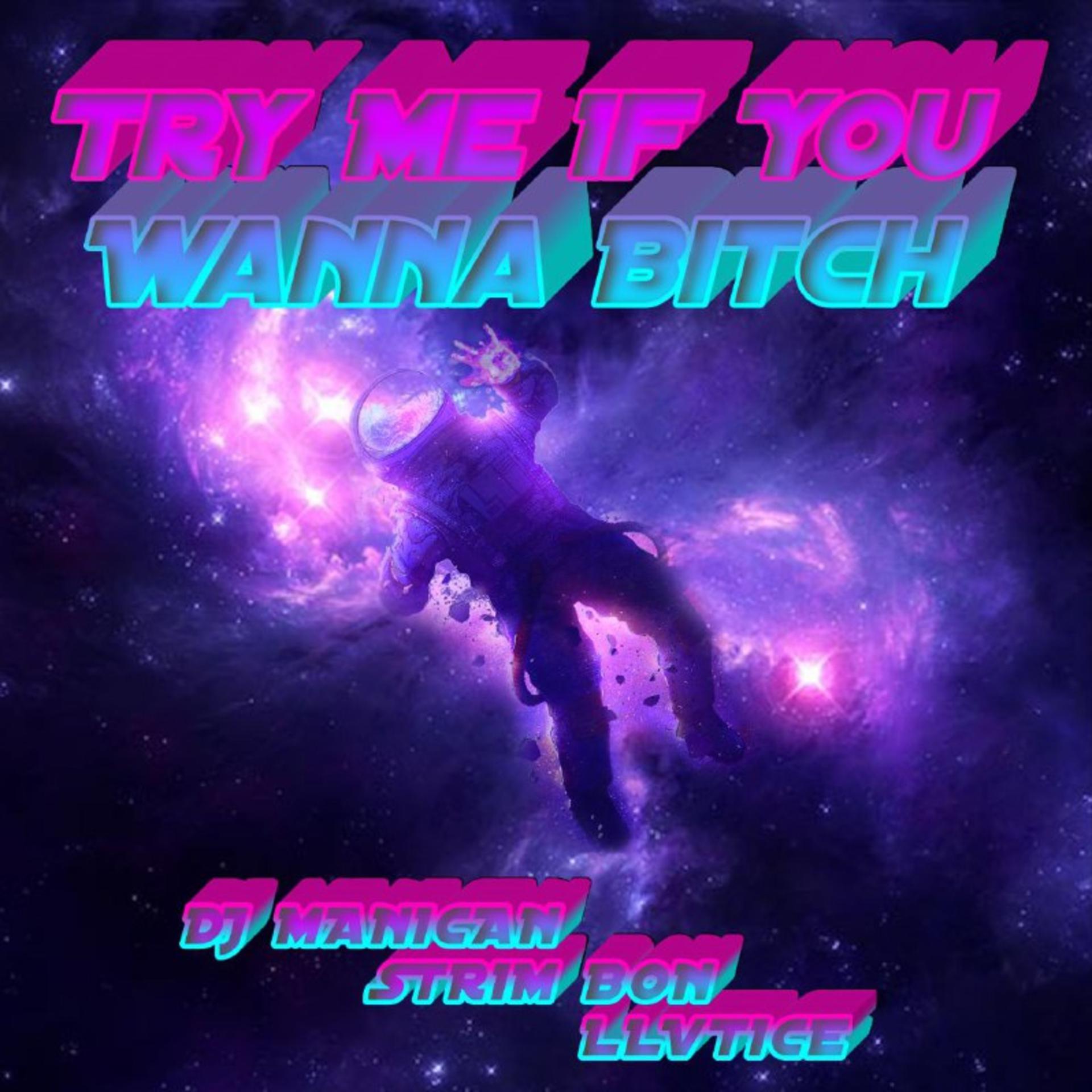 Постер альбома Try Me If You Wanna Bitch