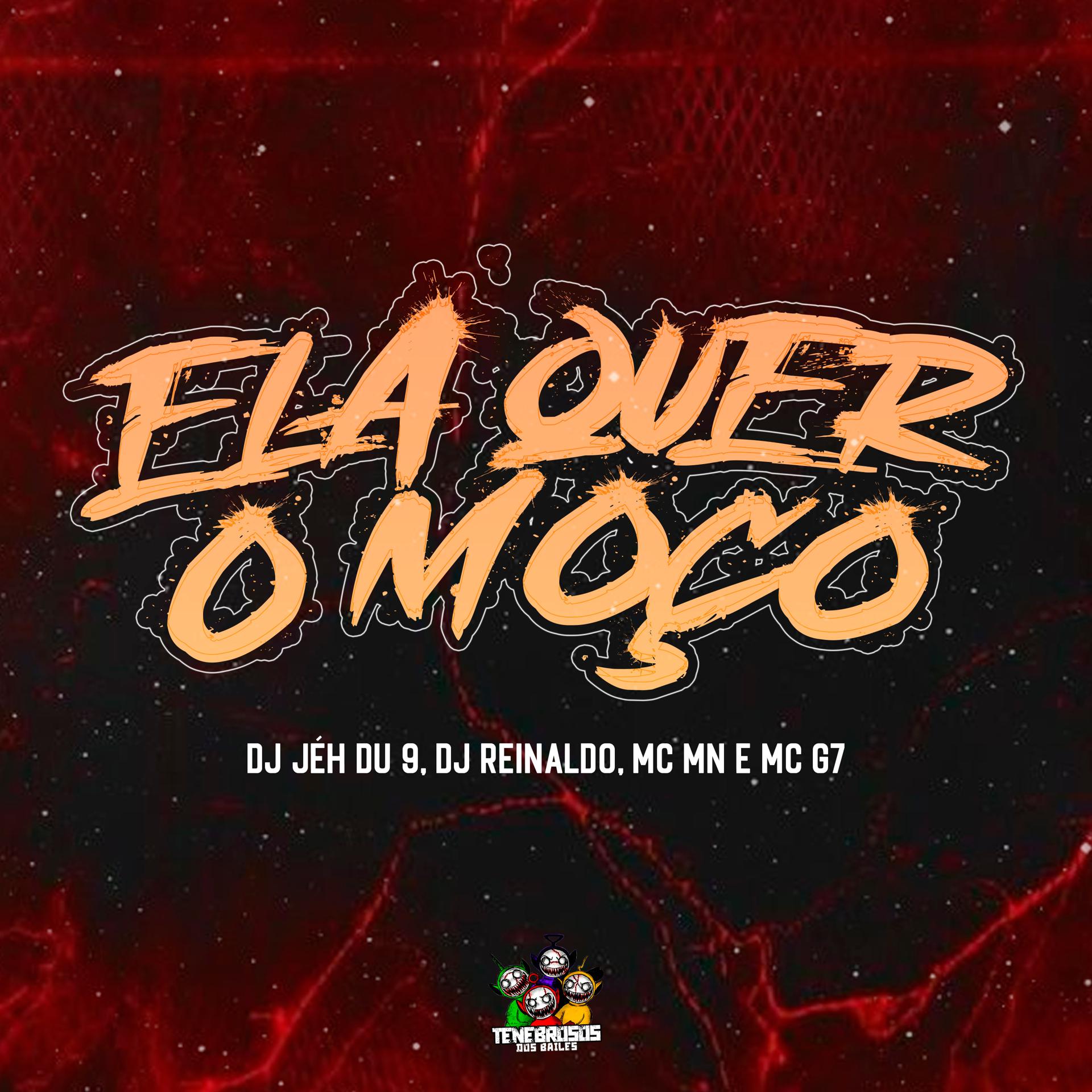 Постер альбома Ela Quer o Moço