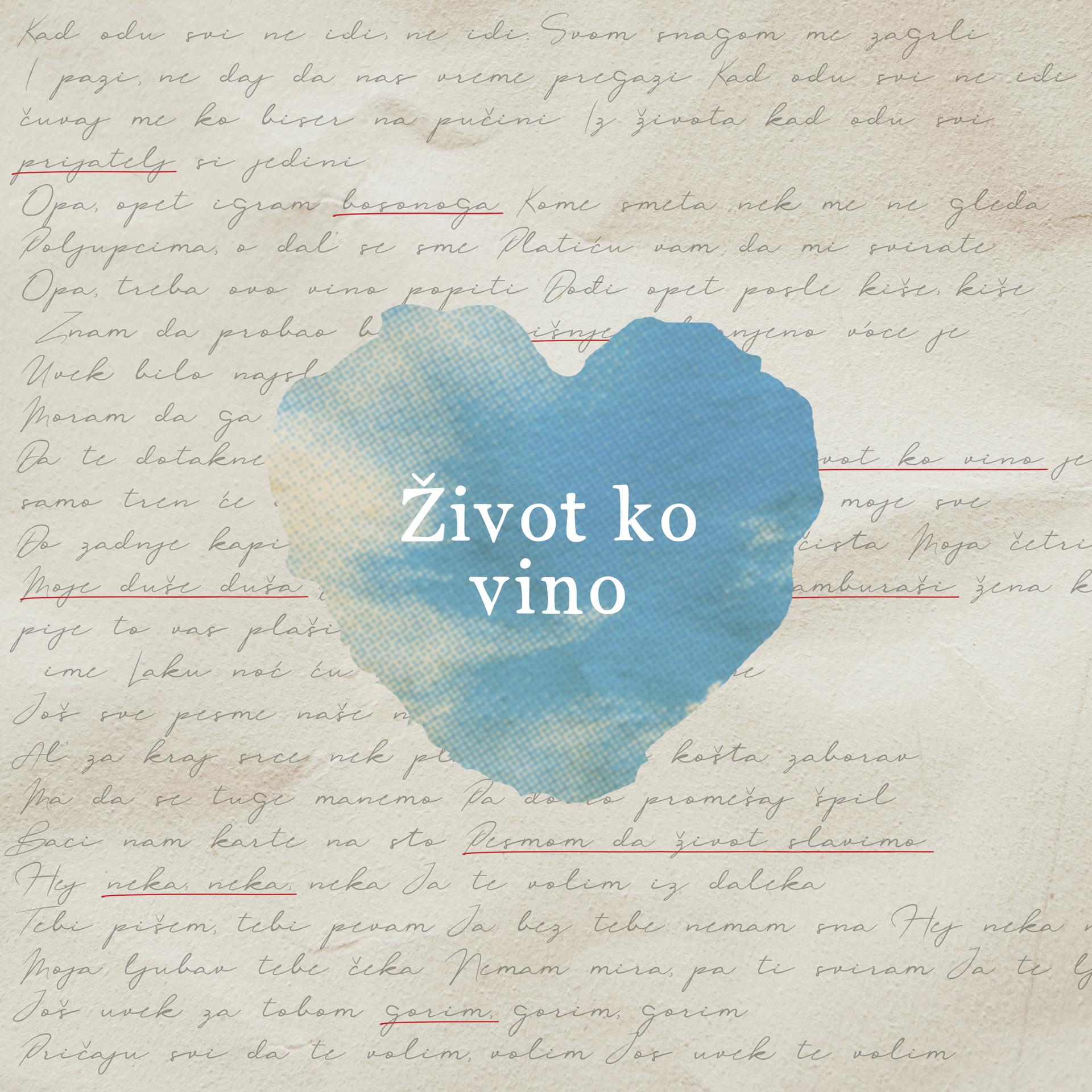 Постер альбома Život ko vino