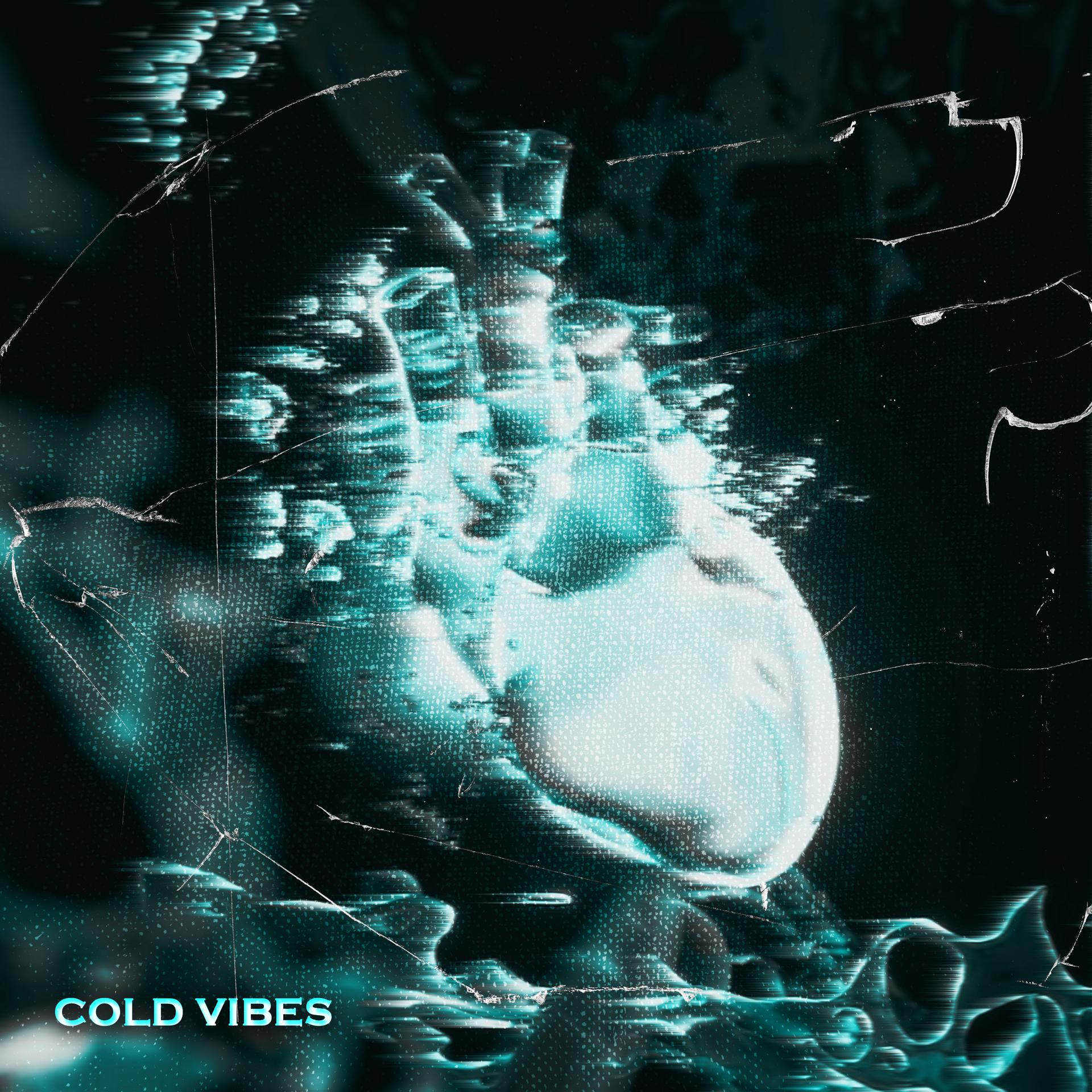 Постер альбома Cold Vibes