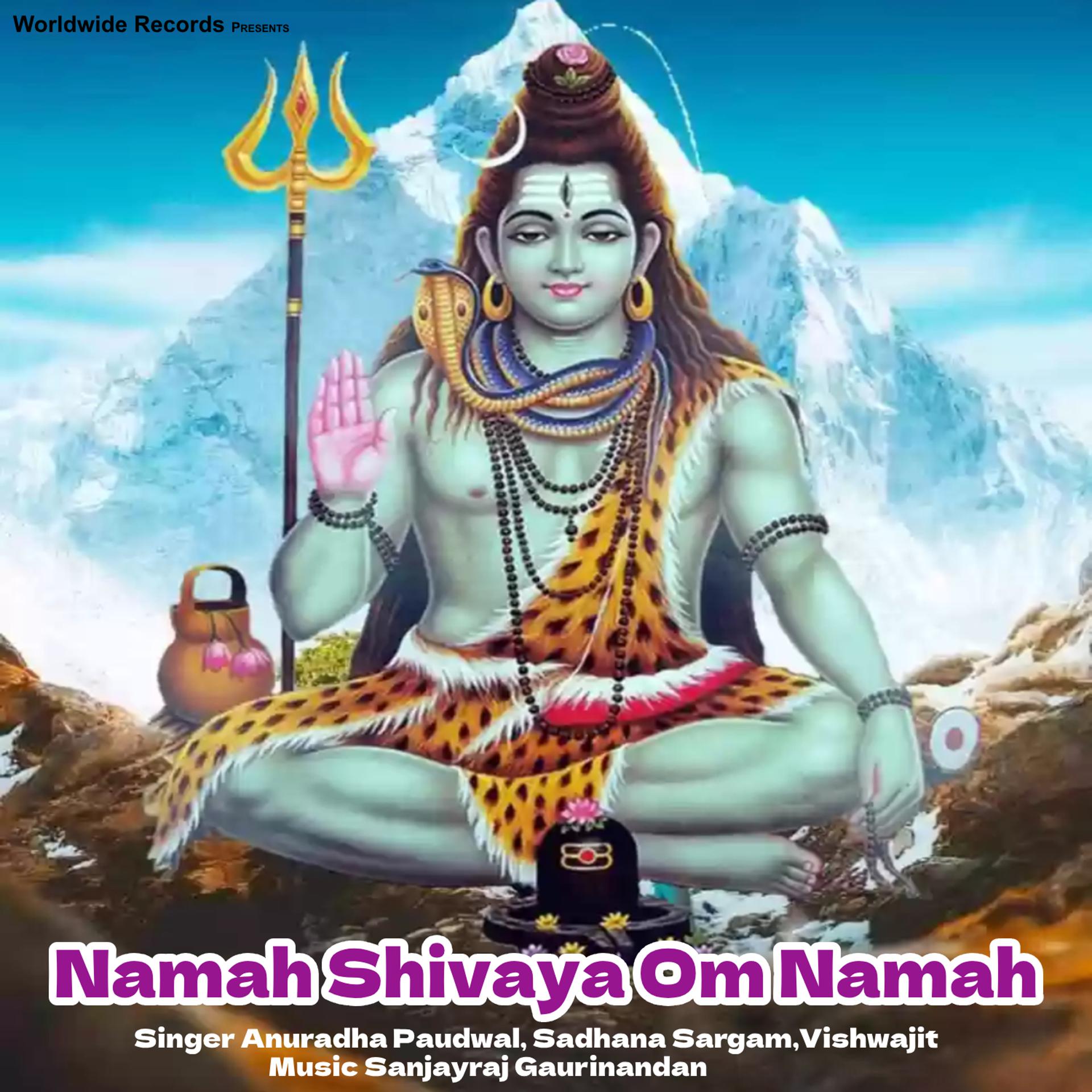 Постер альбома Namah Shivaya Om Namah