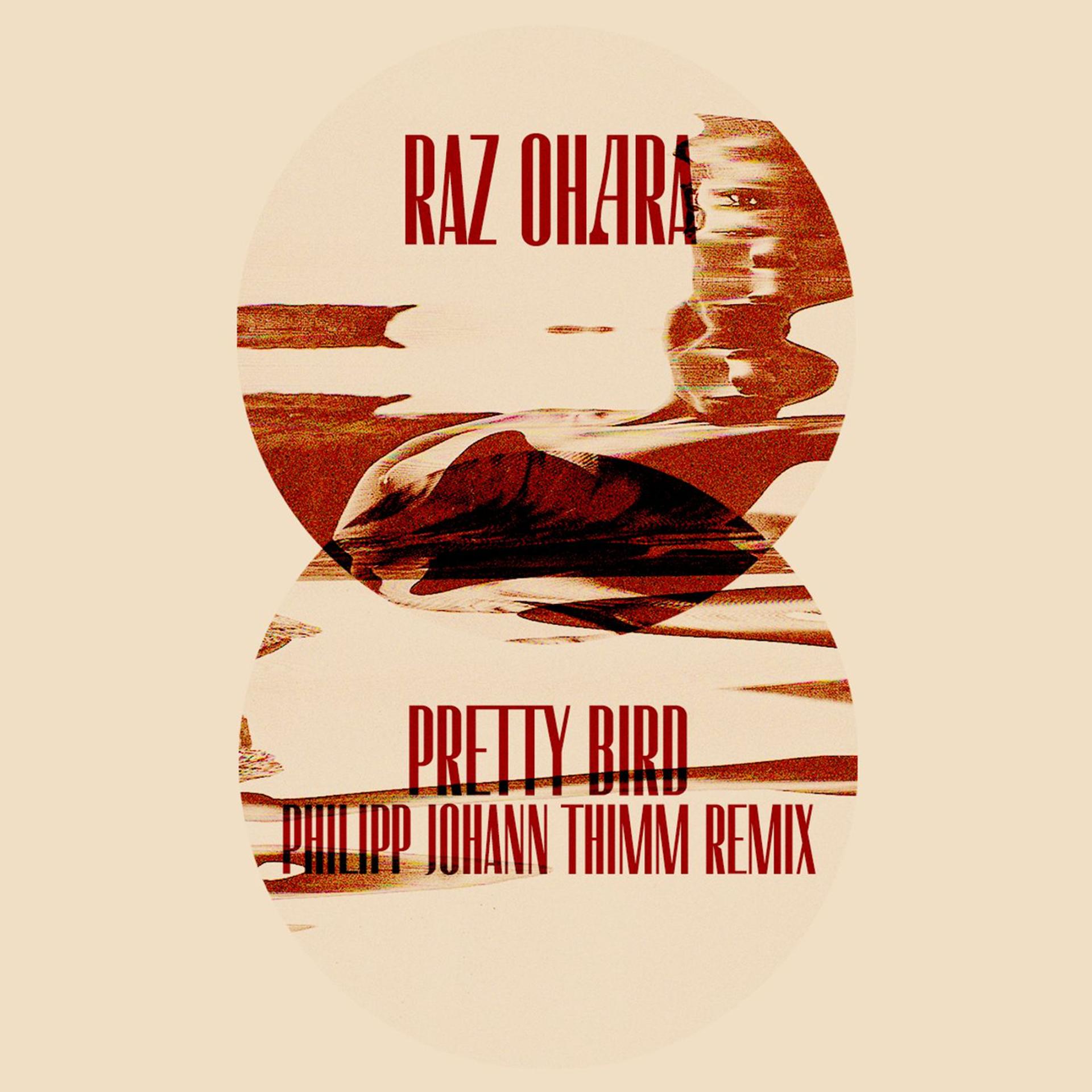 Постер альбома Pretty Bird (Philipp Johann Thimm Remix)