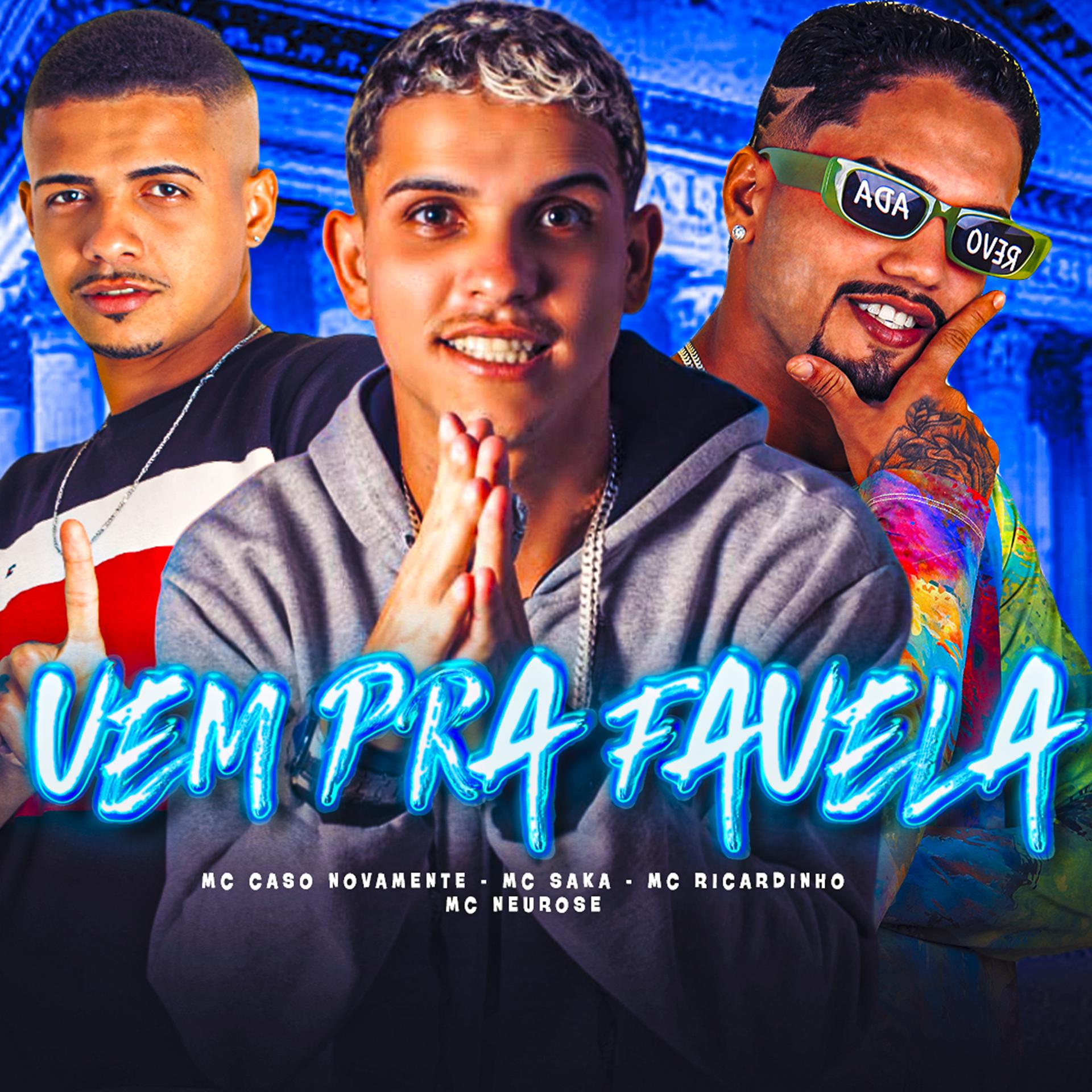 Постер альбома Vem pra Favela