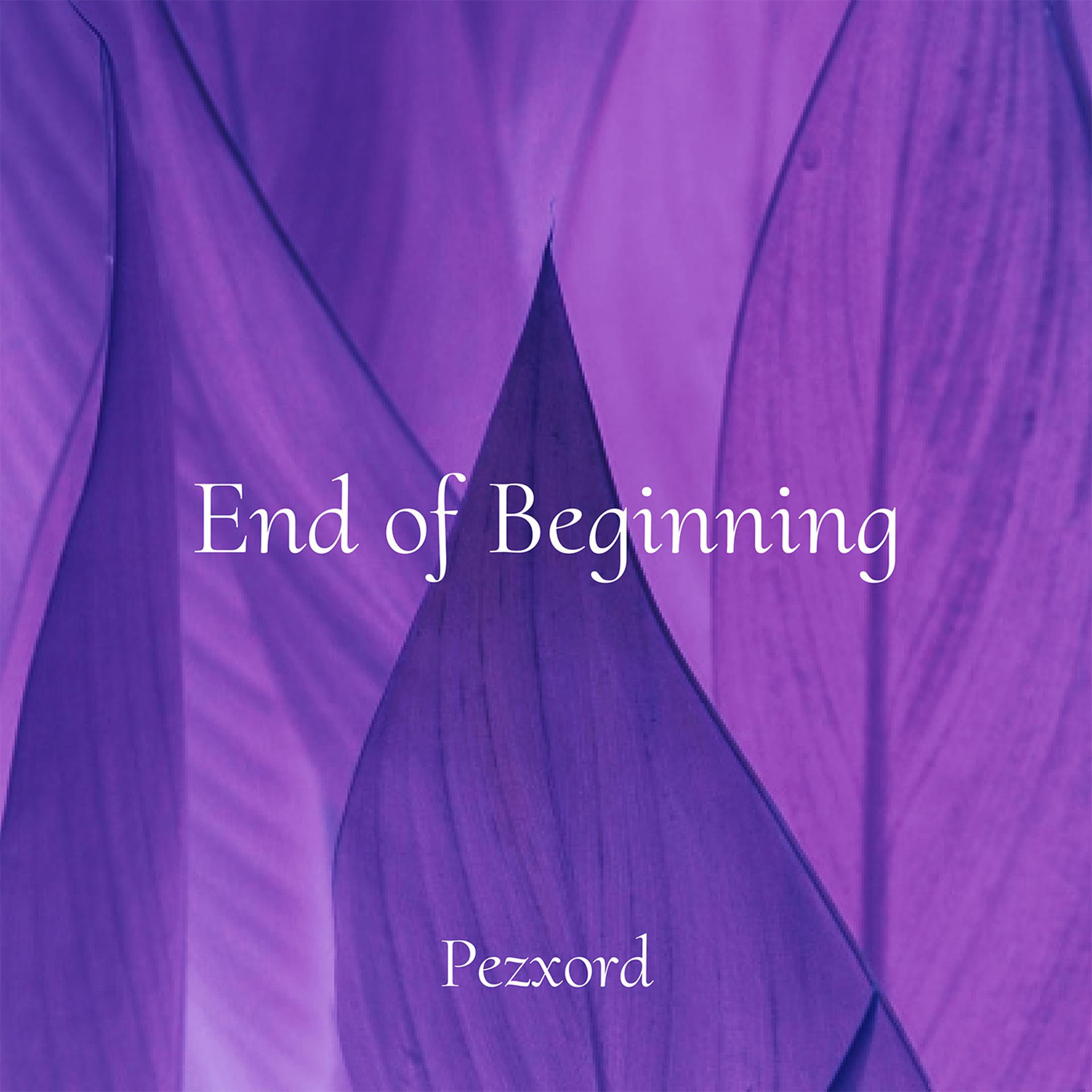 Постер альбома End of Beginning