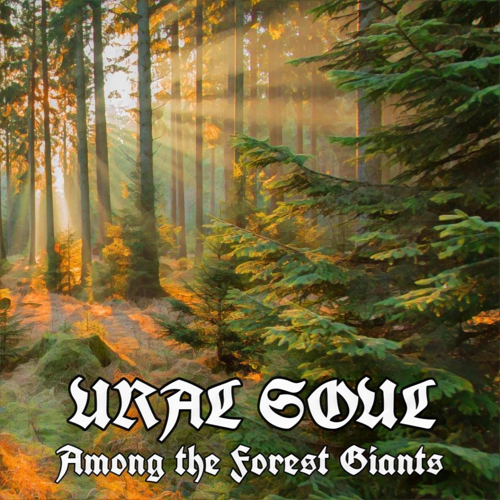 Постер альбома Among the Forest Giants