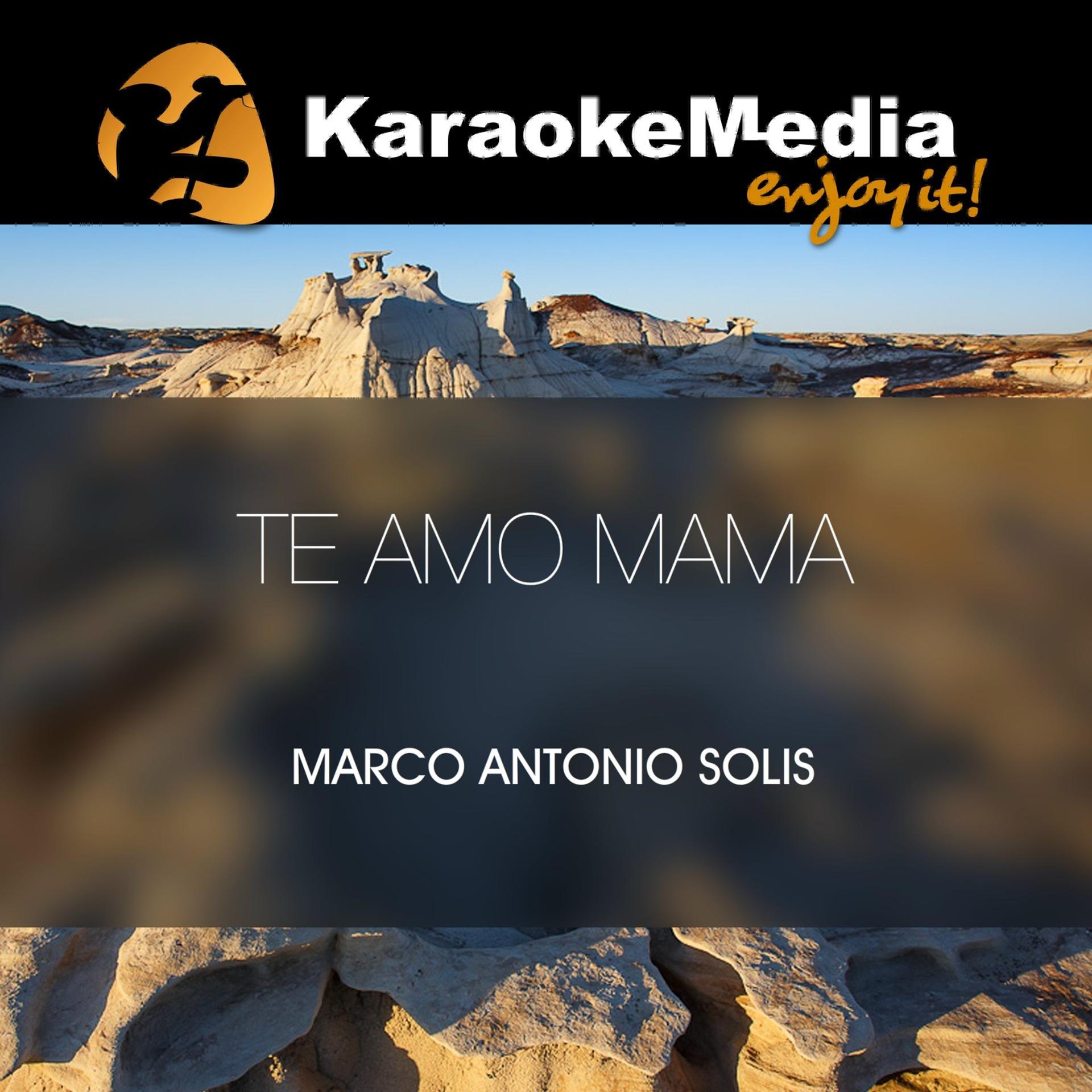 Постер альбома Te Amo Mama(Karaoke Version) [In The Style Of Marco Antonio Solis]