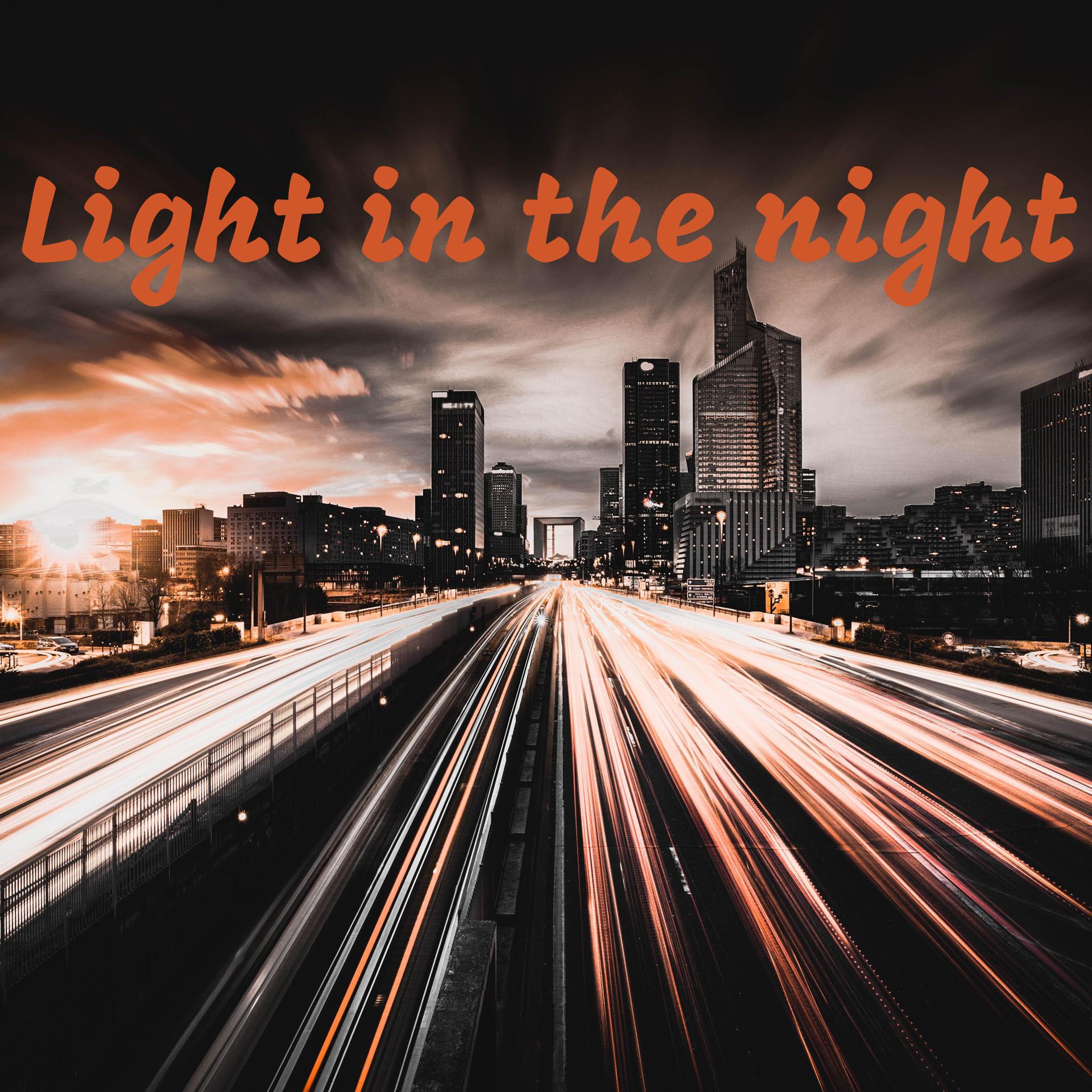 Постер альбома Light in the Night