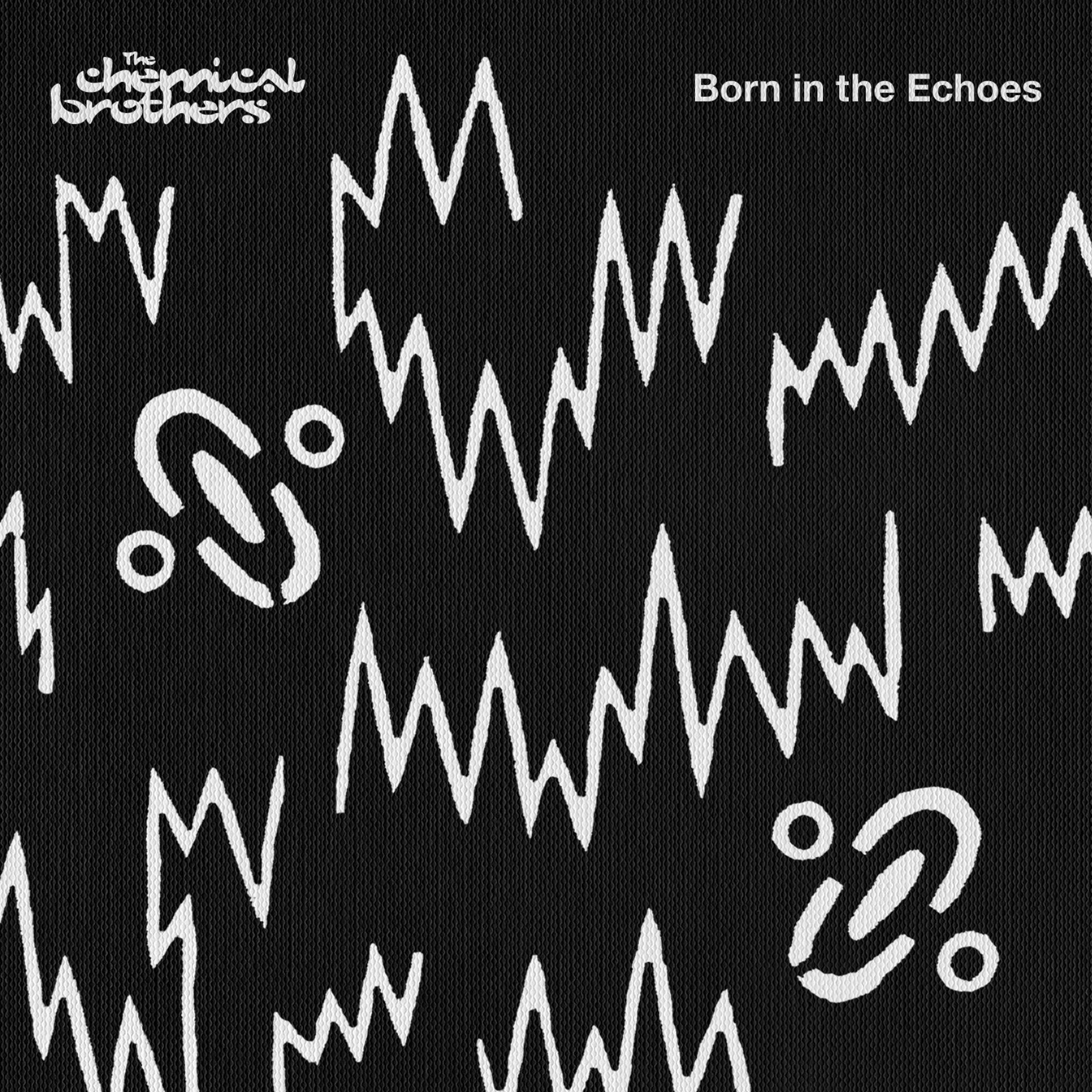 Постер альбома Born In The Echoes