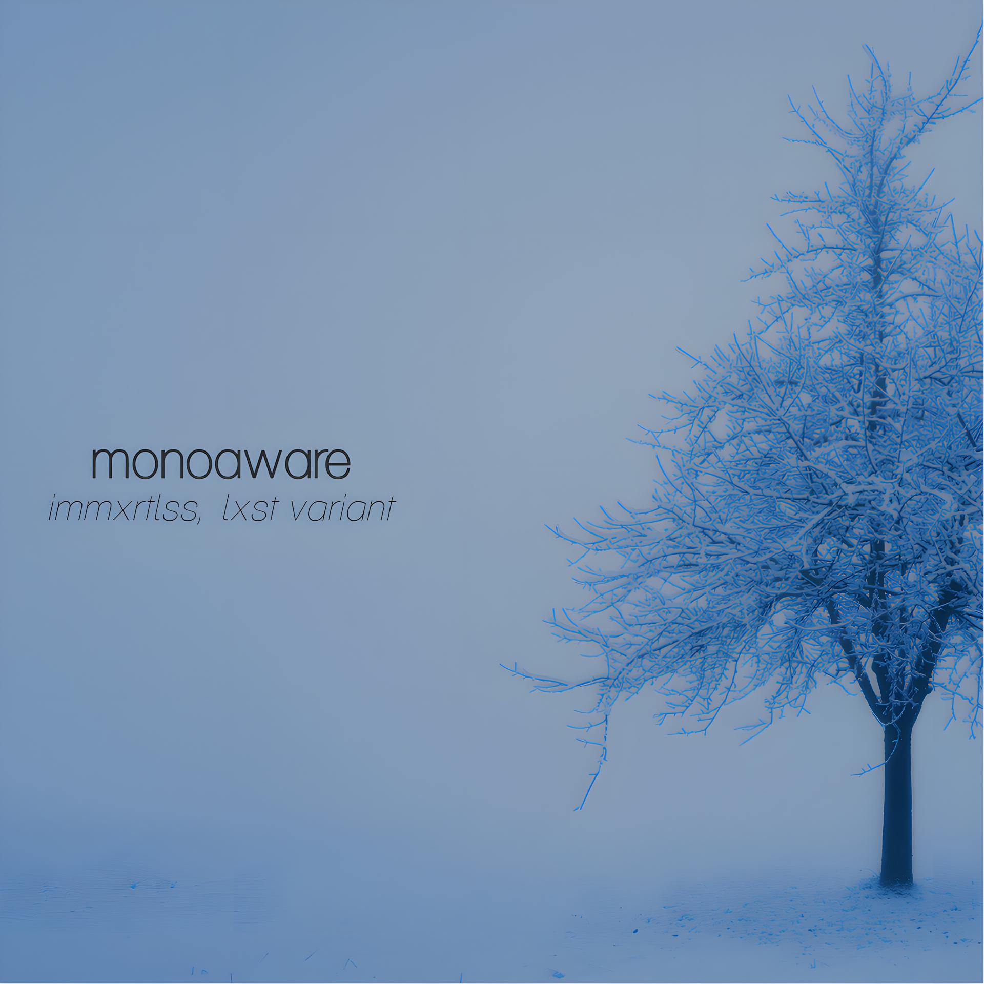 Постер альбома Monoaware
