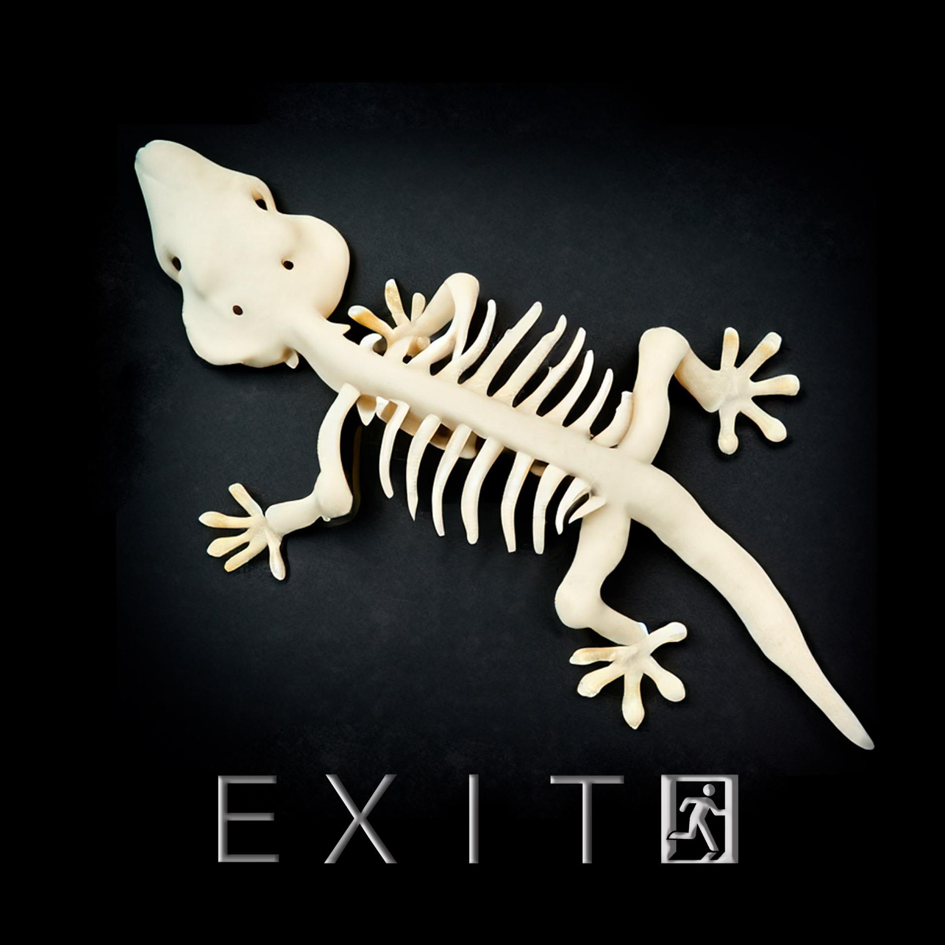 Постер альбома exit