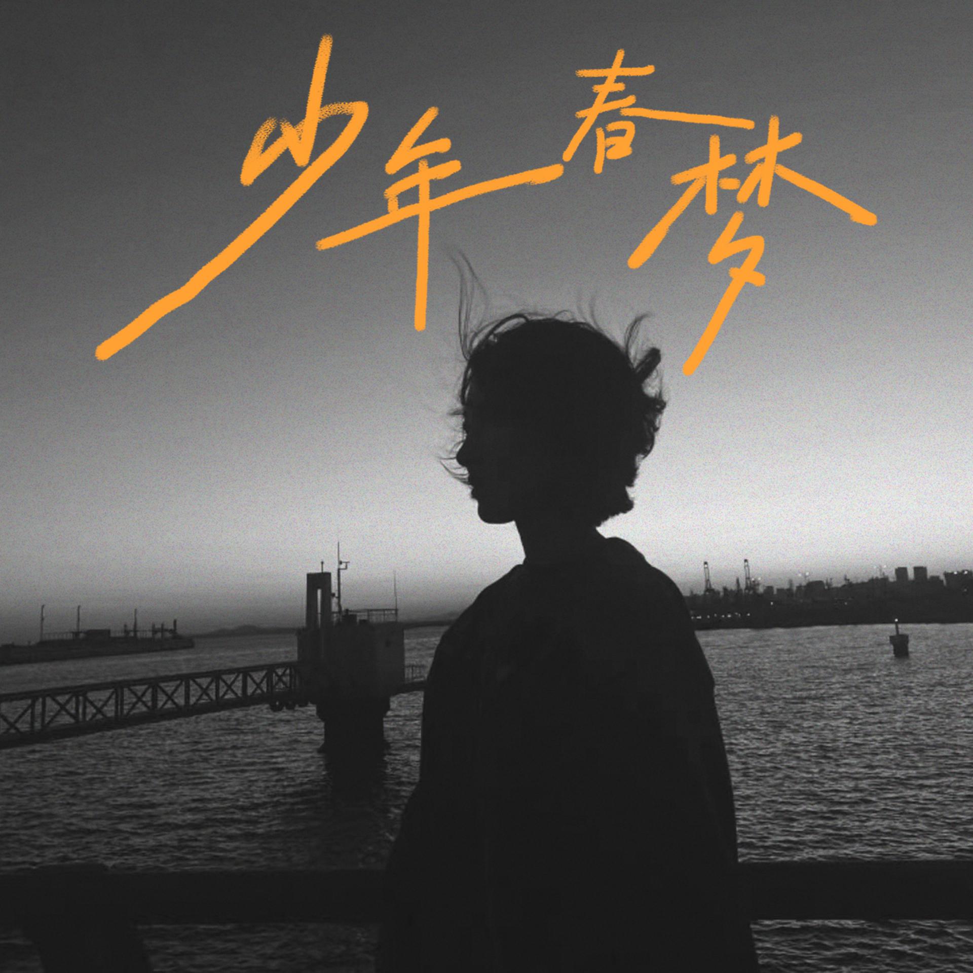 Постер альбома 少年春梦