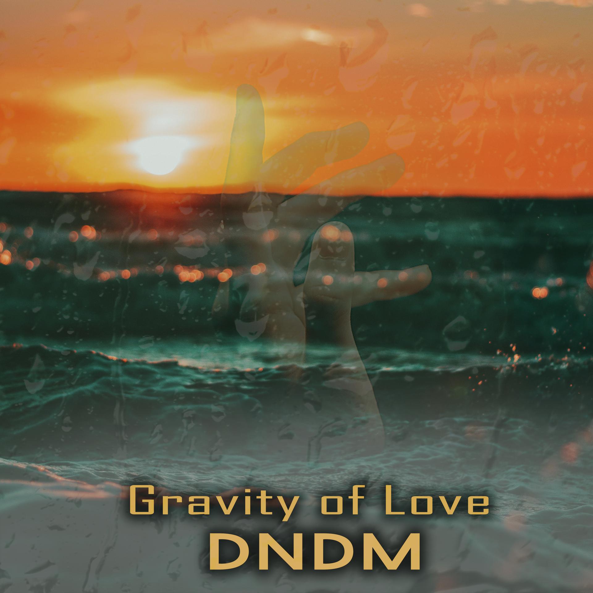 Постер альбома Gravity of Love