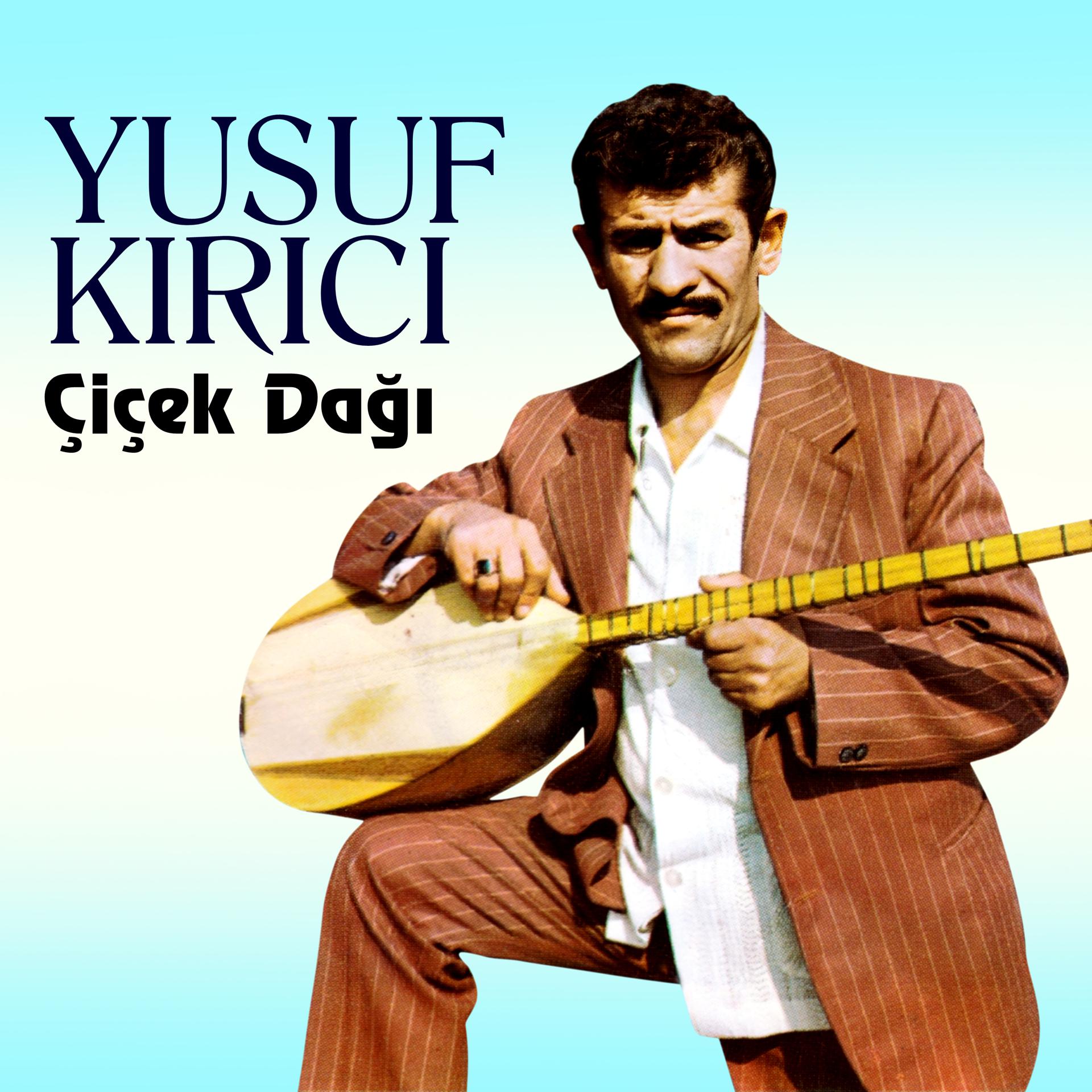 Постер альбома Çiçek Dağı
