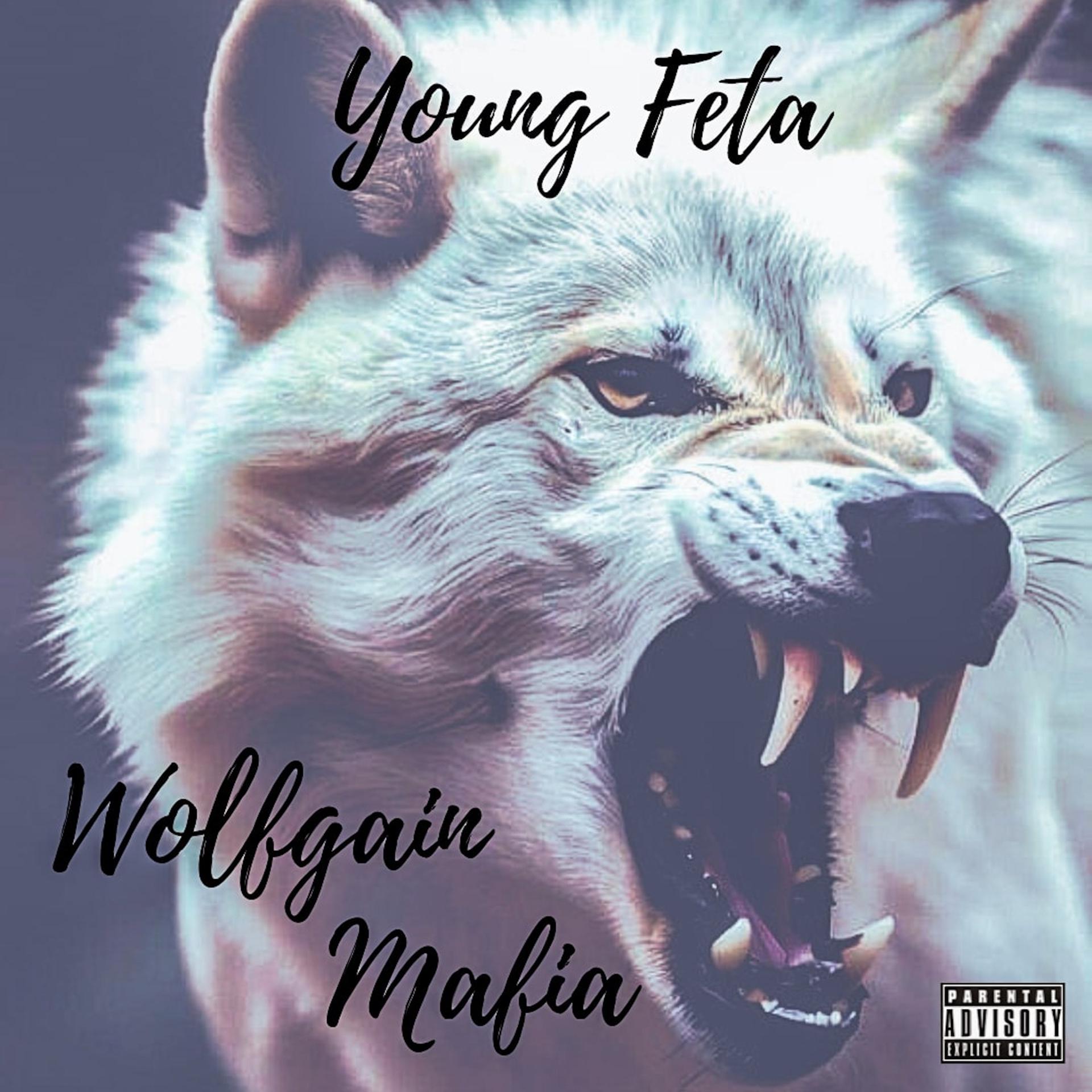 Постер альбома Wolfgain Mafia