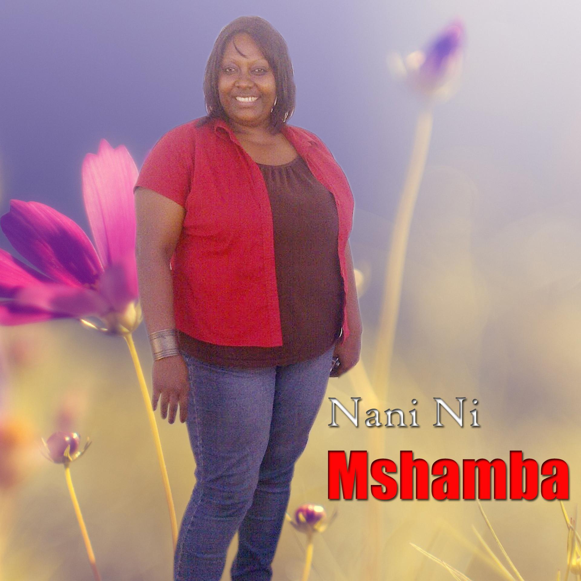 Постер альбома Nani Ni Mshamba
