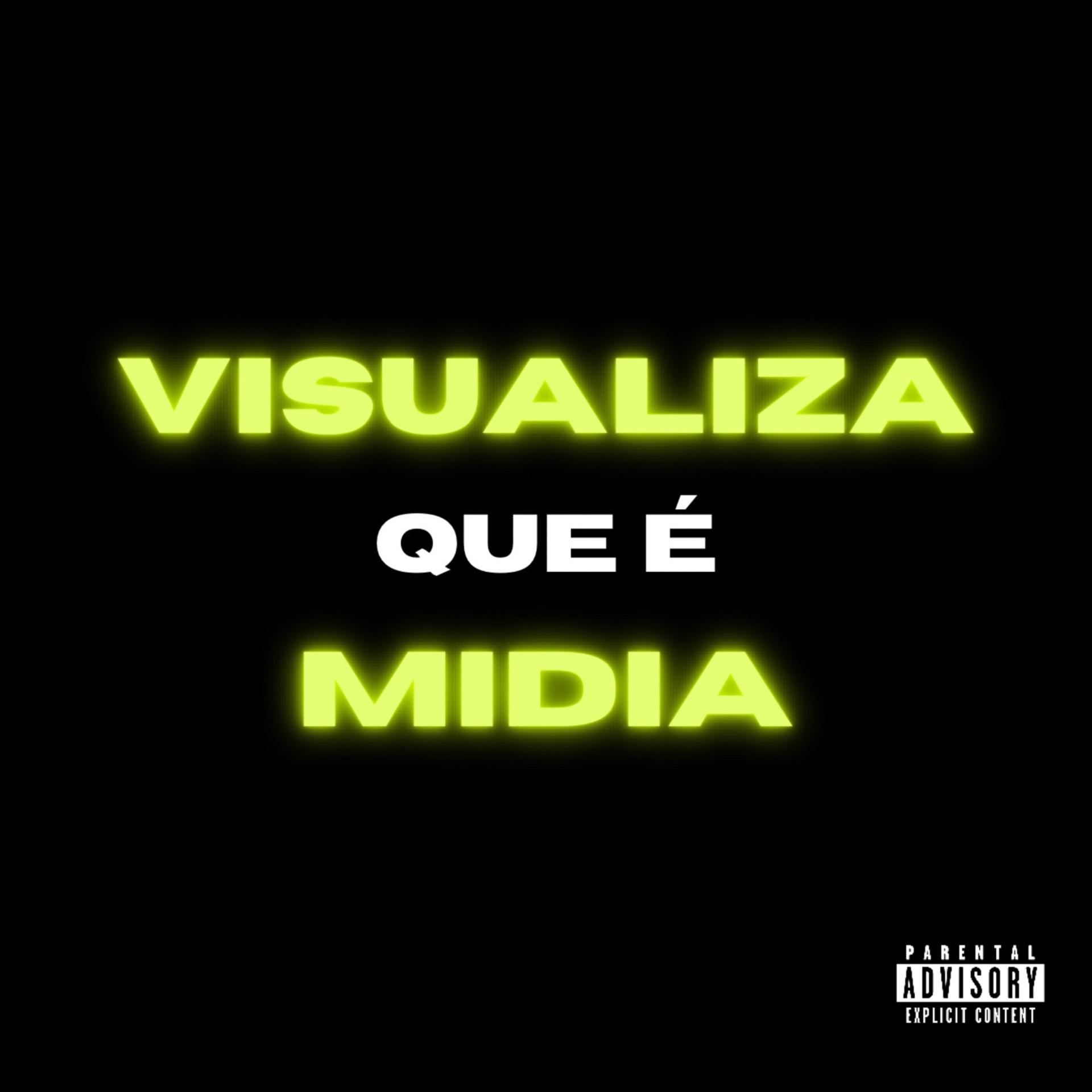 Постер альбома Visualiza Que É Midia
