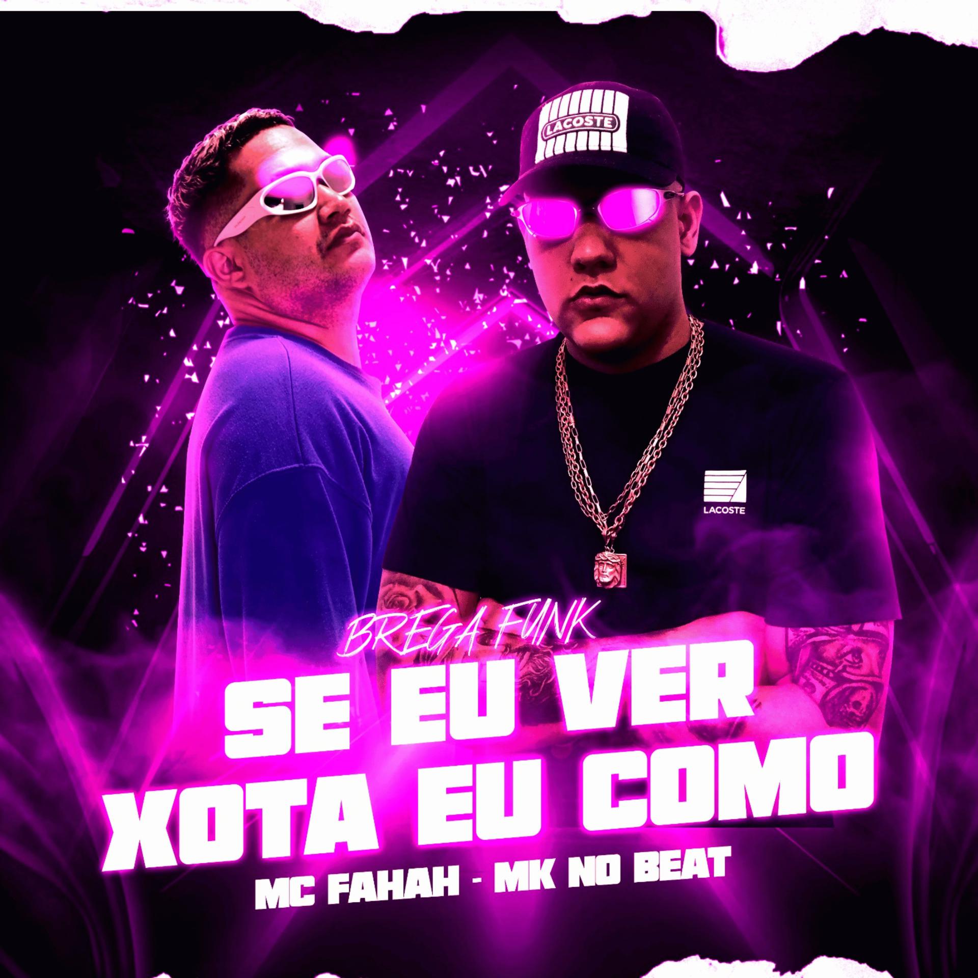 Постер альбома Se Eu Ver Xota Eu Como (Brega Funk)