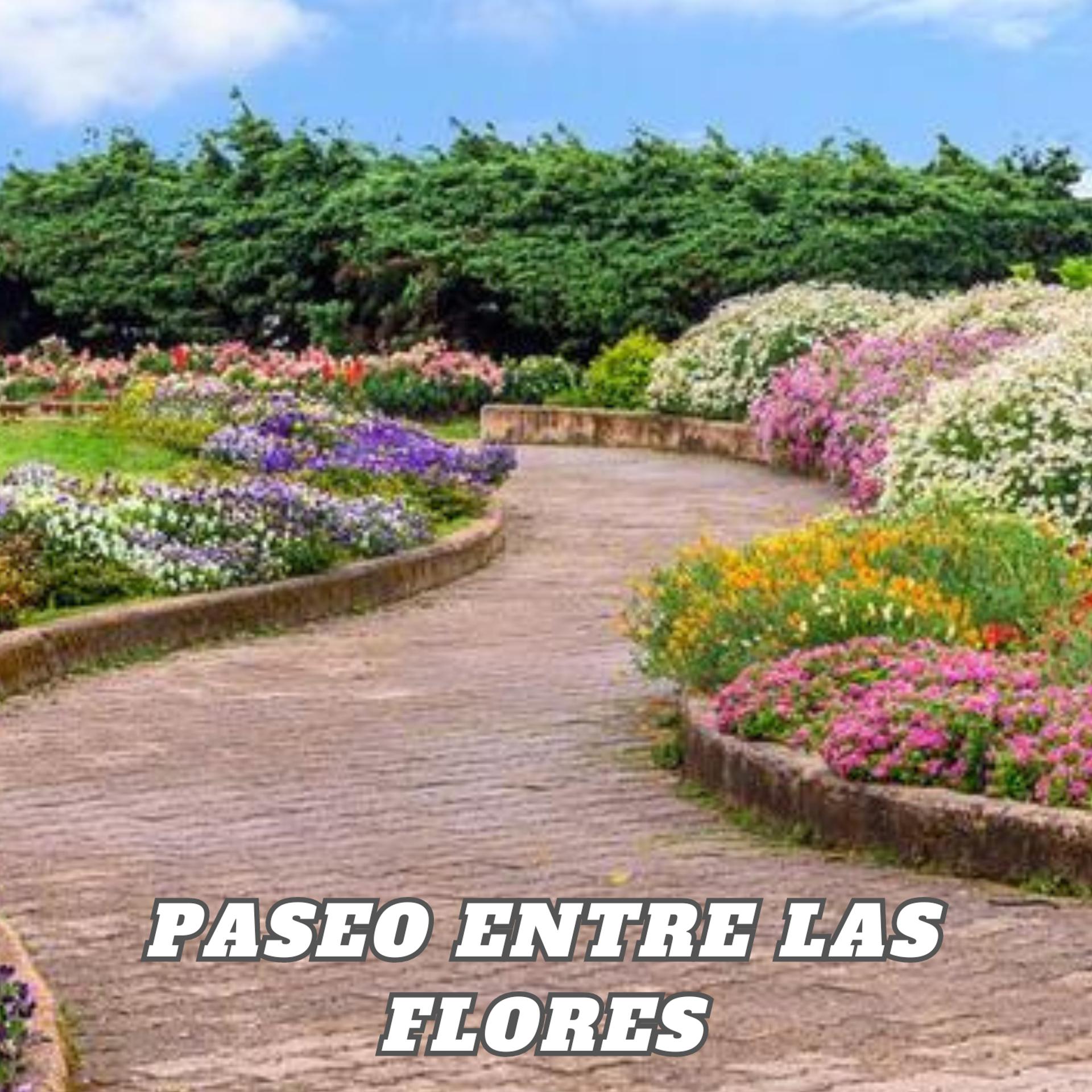 Постер альбома Paseo entre las Flores