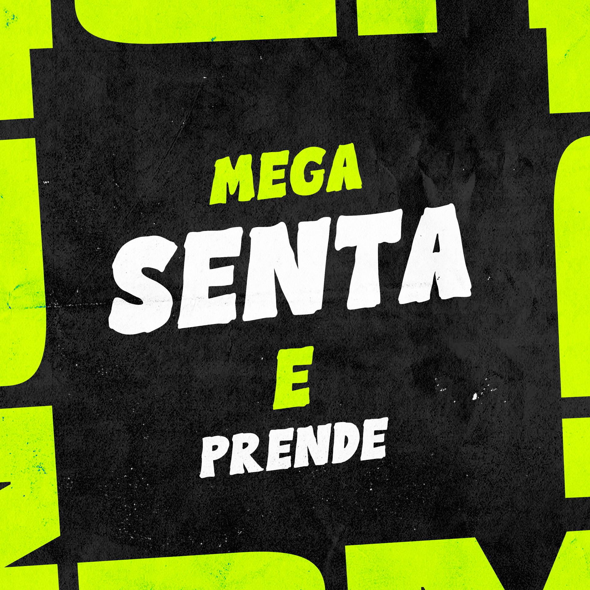 Постер альбома Mega Senta e Prende