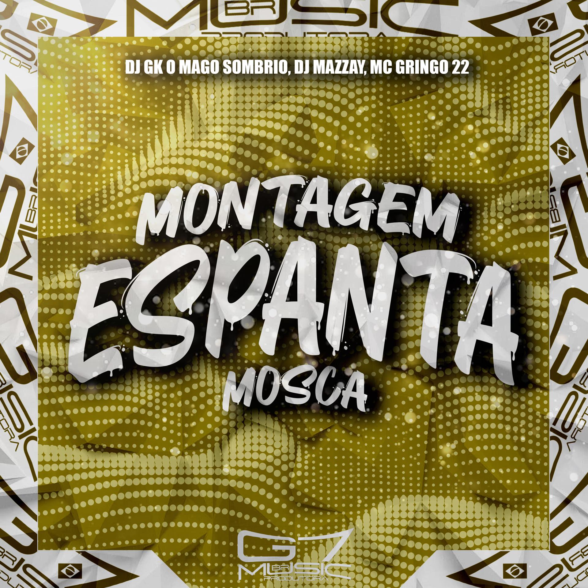Постер альбома Montagem Espanta Mosca