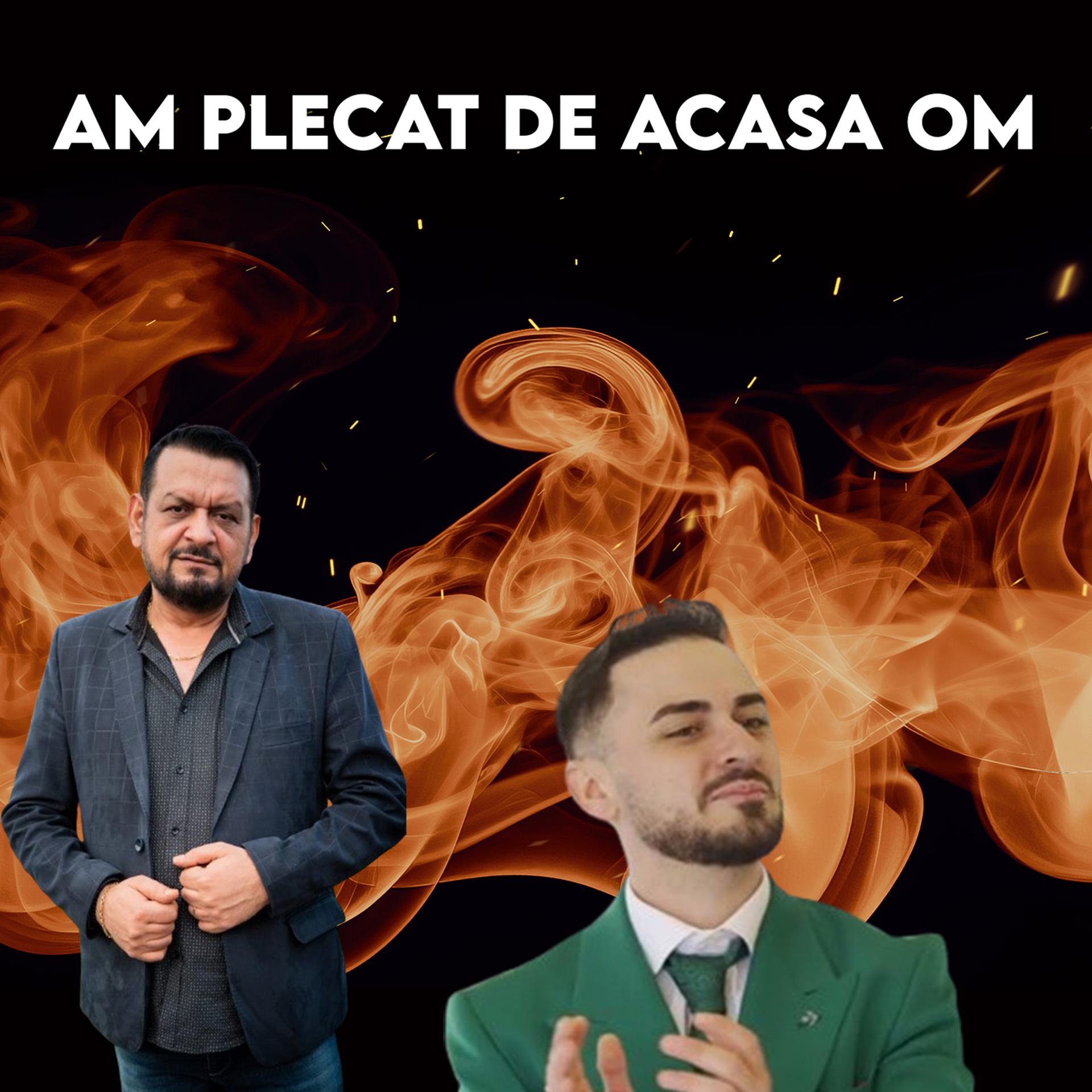 Постер альбома AM PLECAT DE ACASA OM