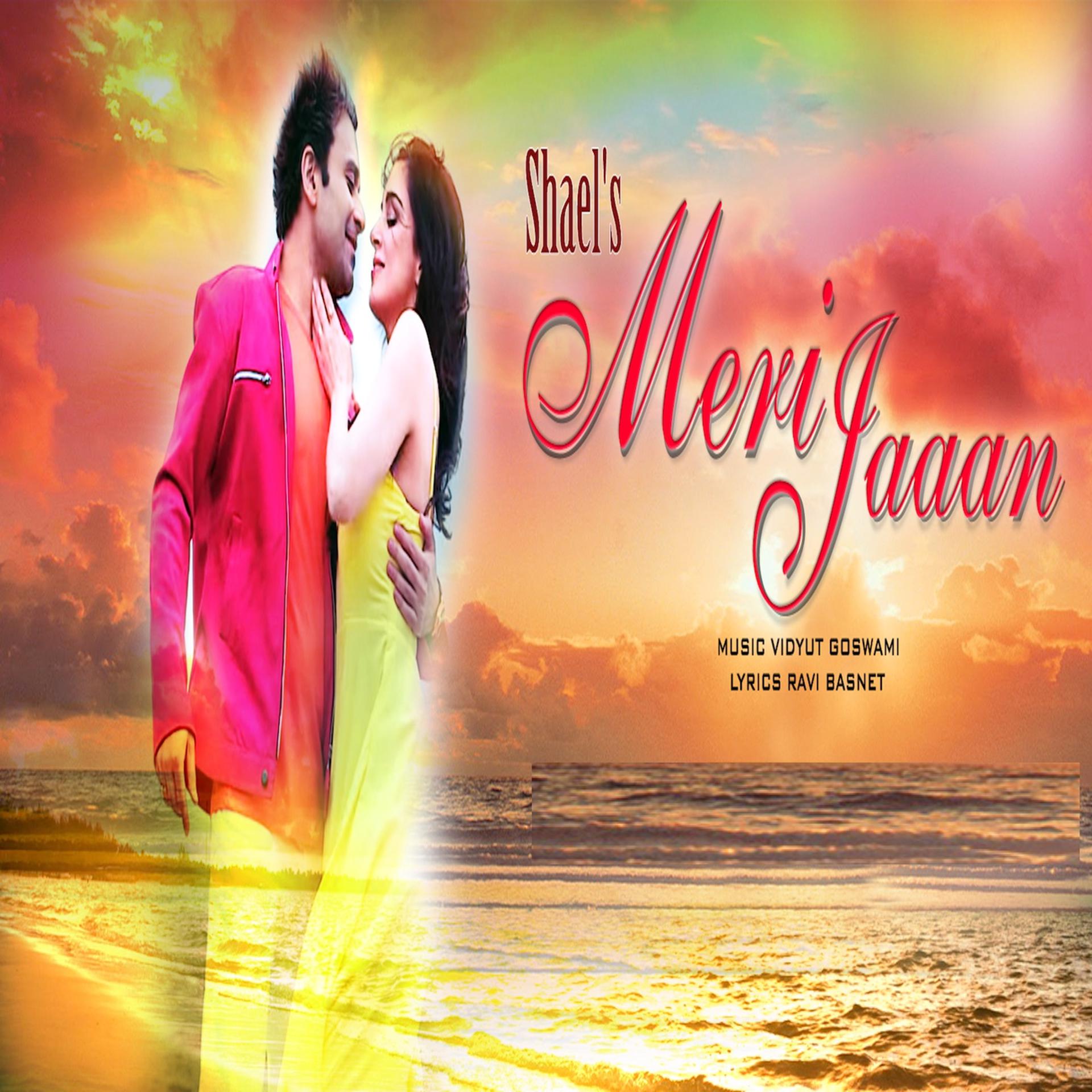 Постер альбома Shael's Meri Jaaan