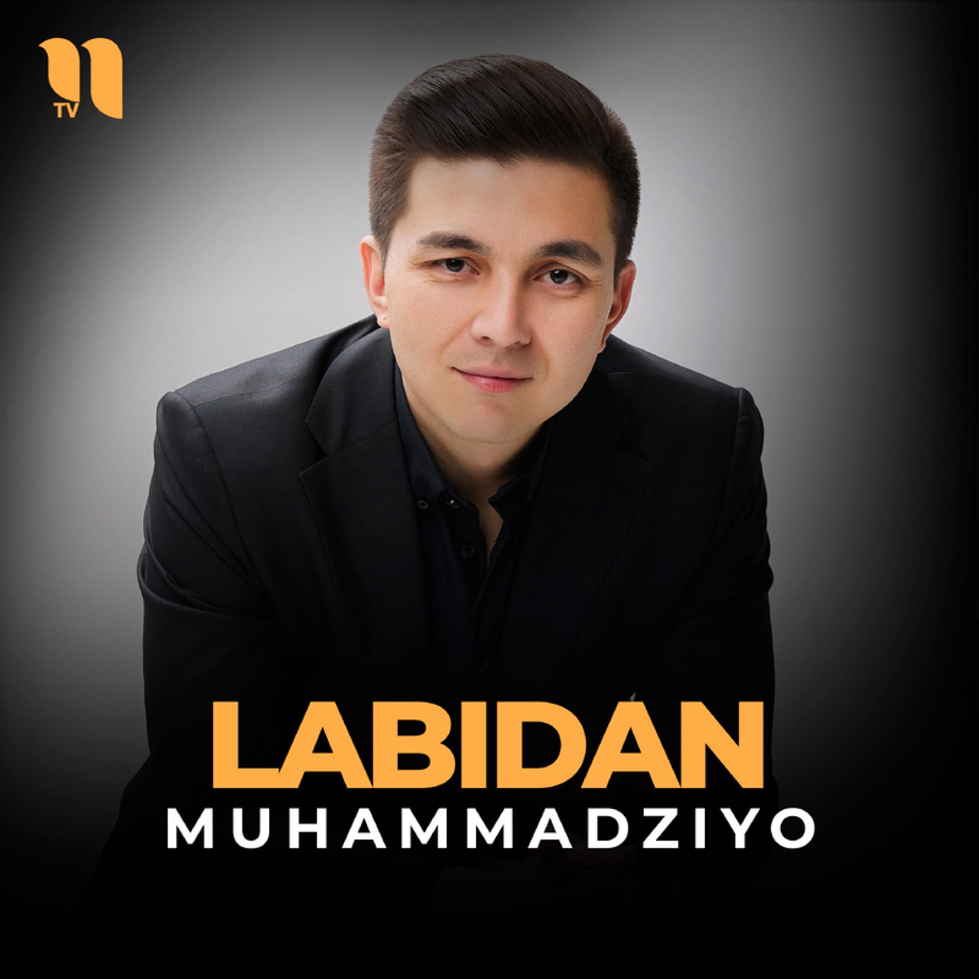 Постер альбома Labidan