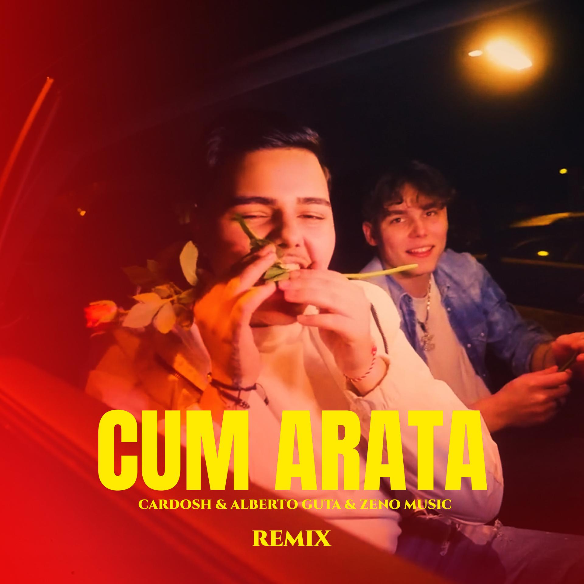 Постер альбома Cum Arata