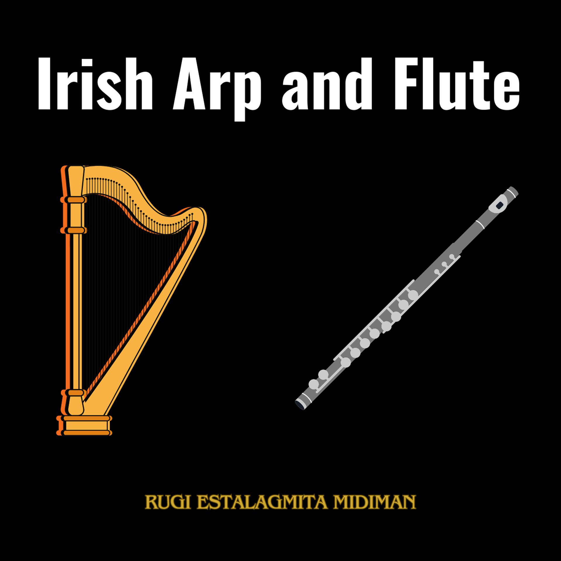 Постер альбома Irish Arp and Flute