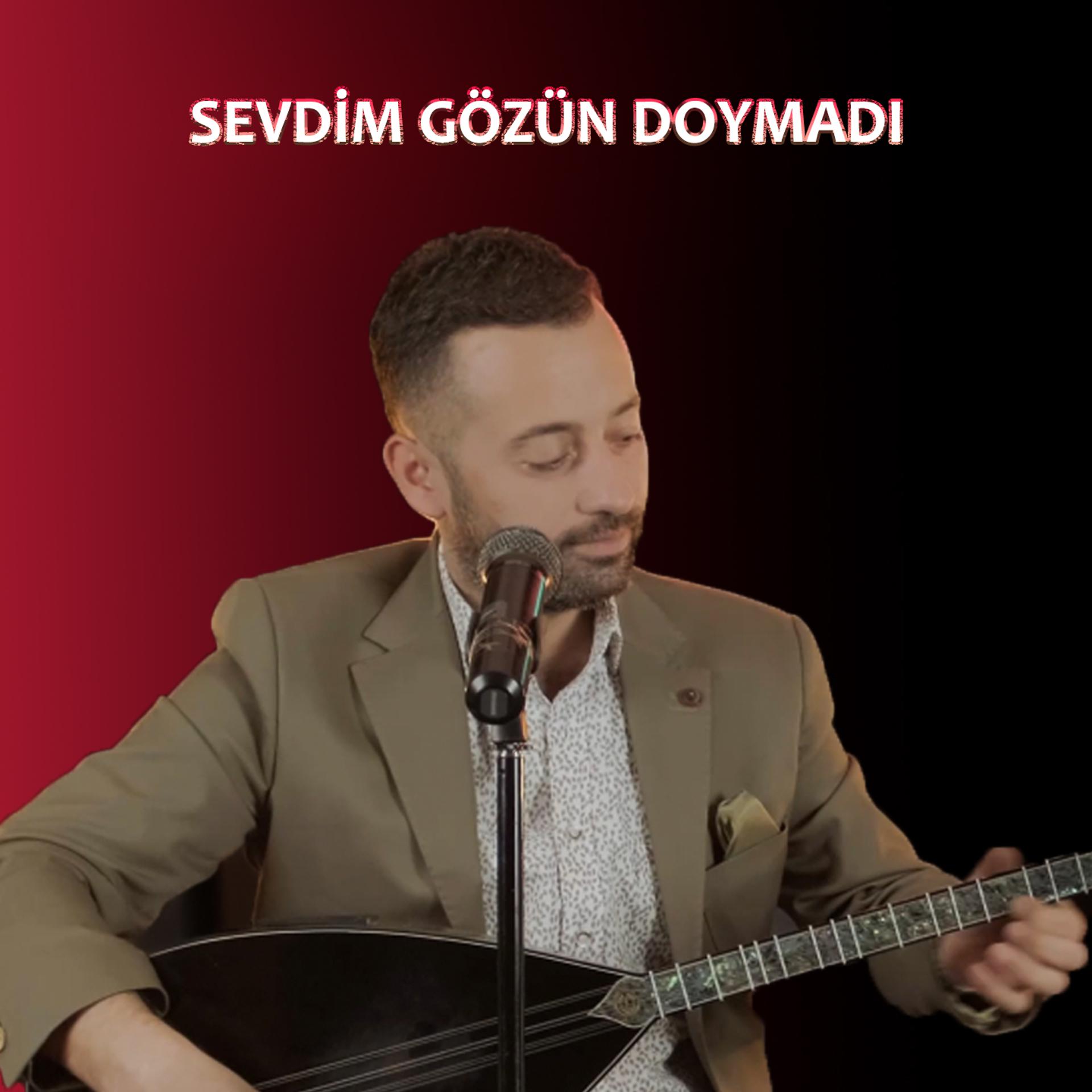 Постер альбома Sevdim Gözün Doymadı