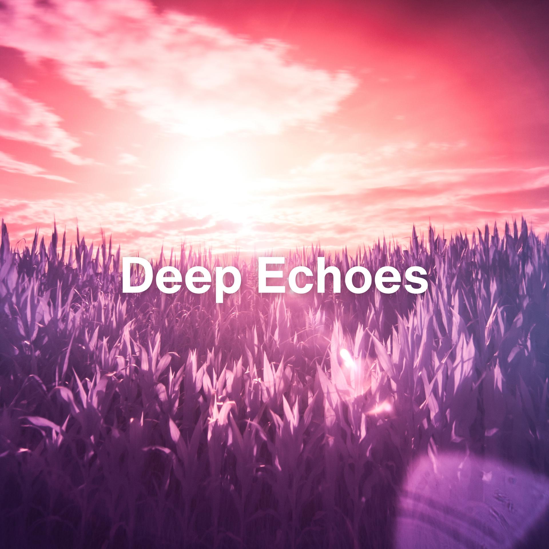Постер альбома Deep Echoes