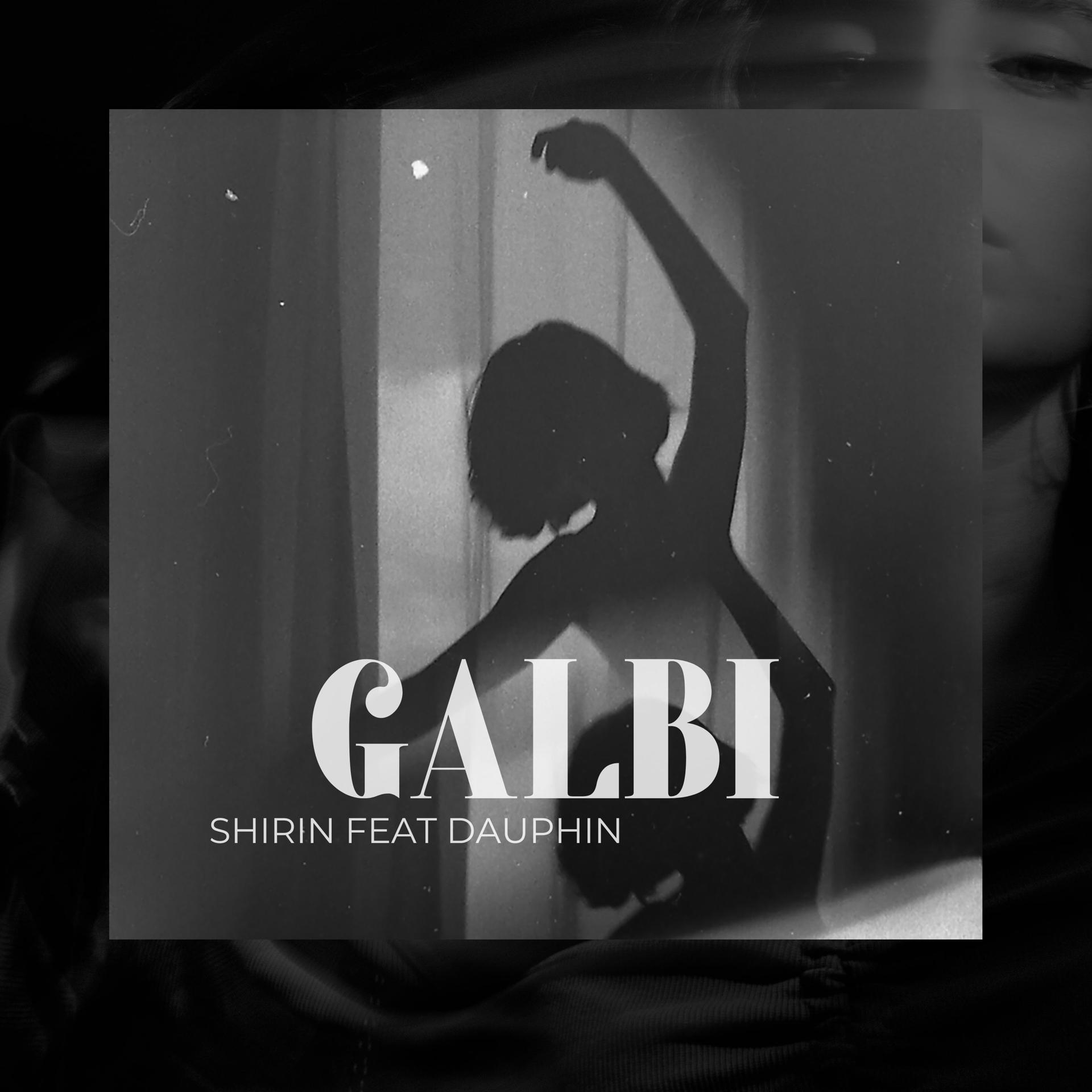 Постер альбома GALBI