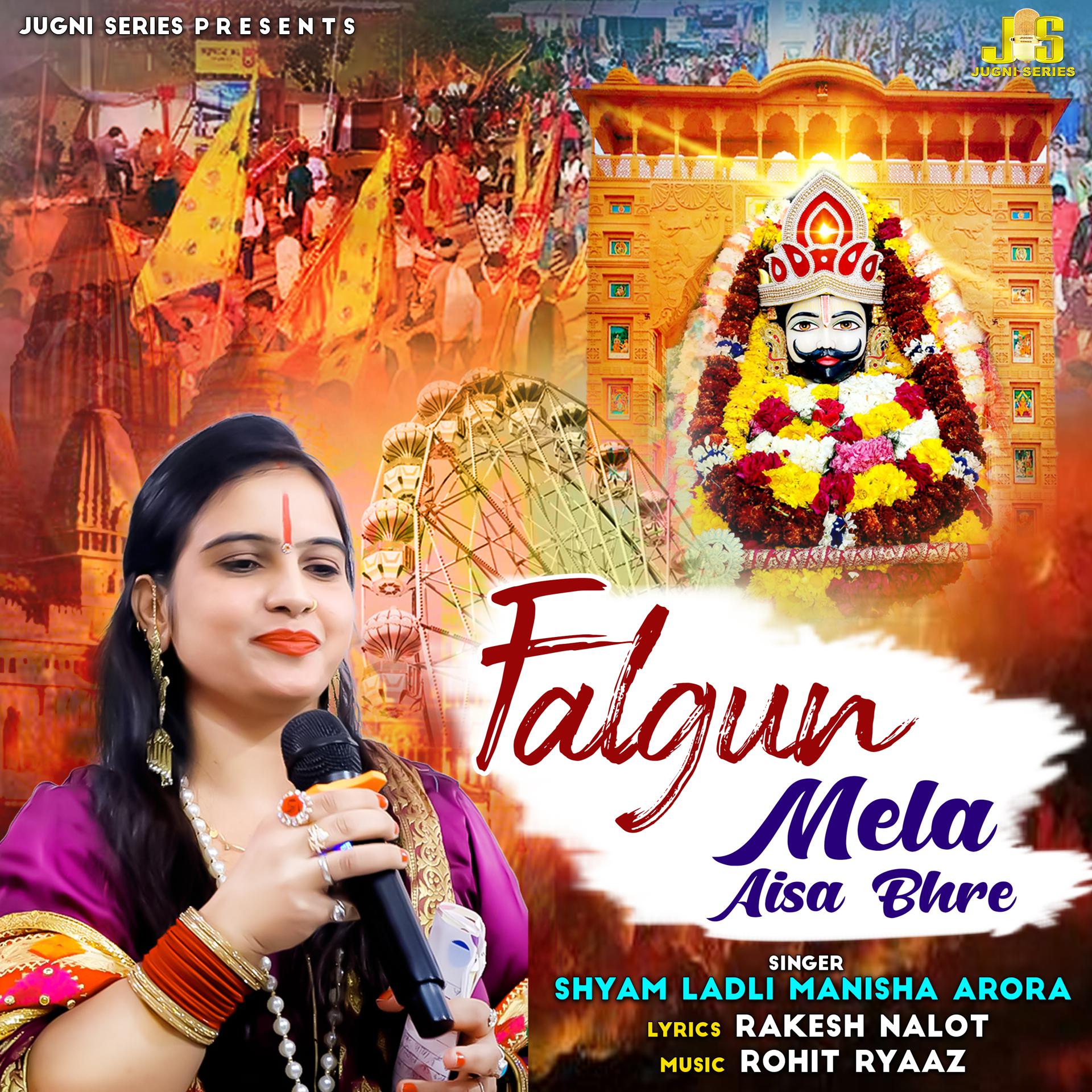Постер альбома Falgun Mela Aisa Bhre