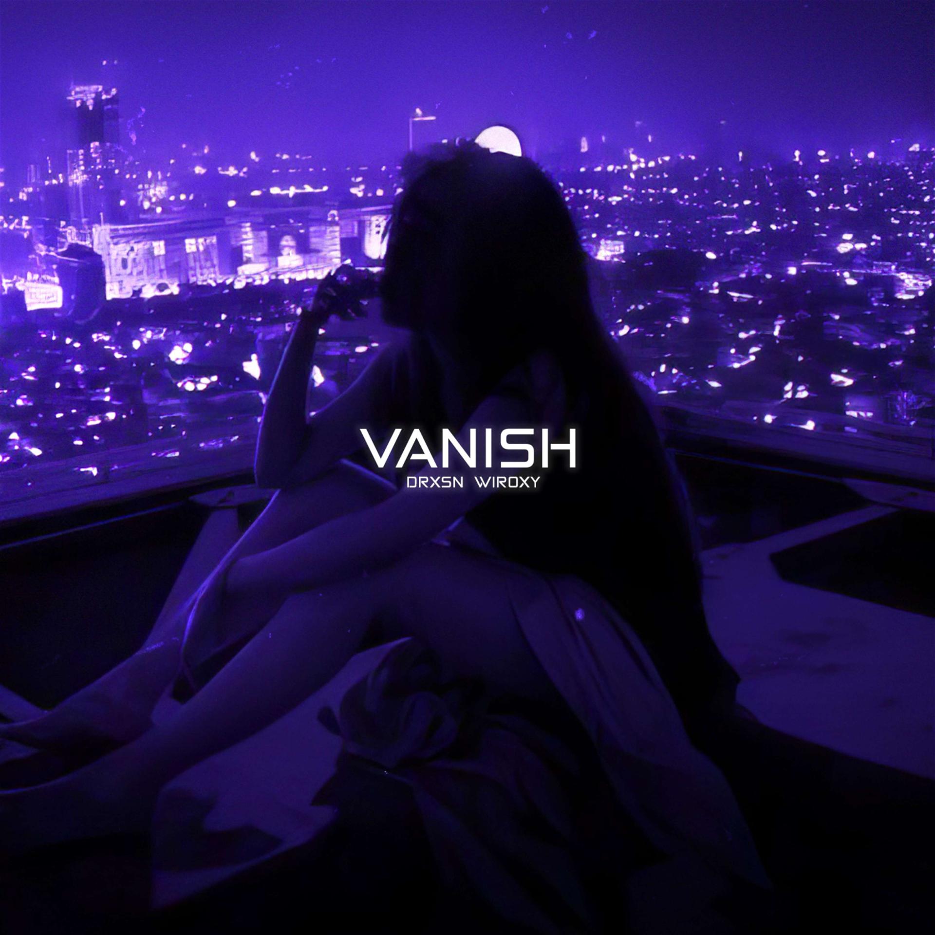 Постер альбома VANISH