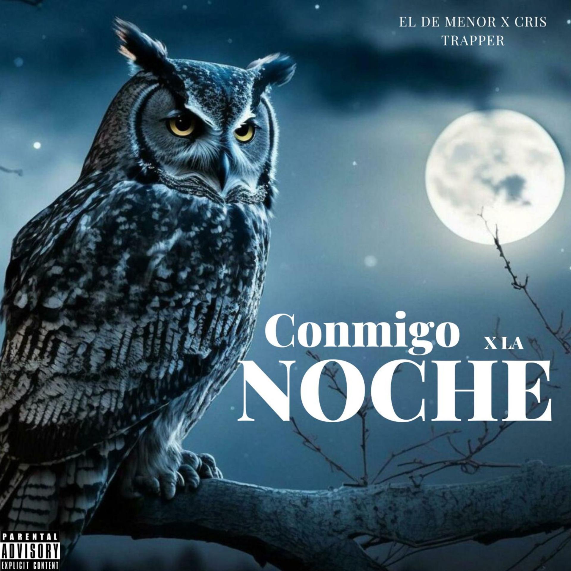 Постер альбома Conmigo X la Noche