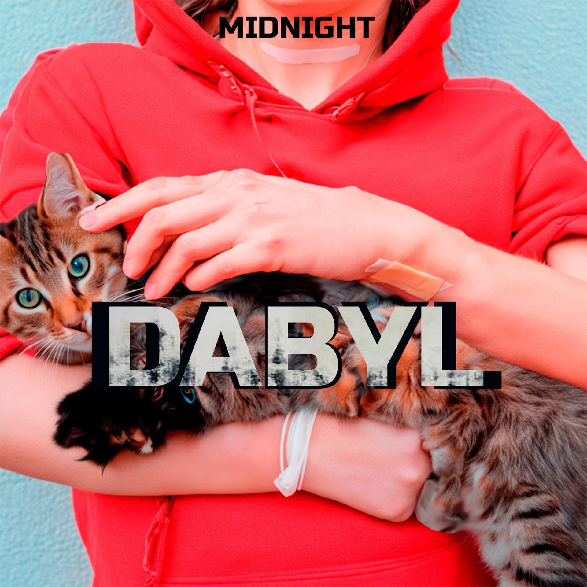 Постер альбома Dabyl