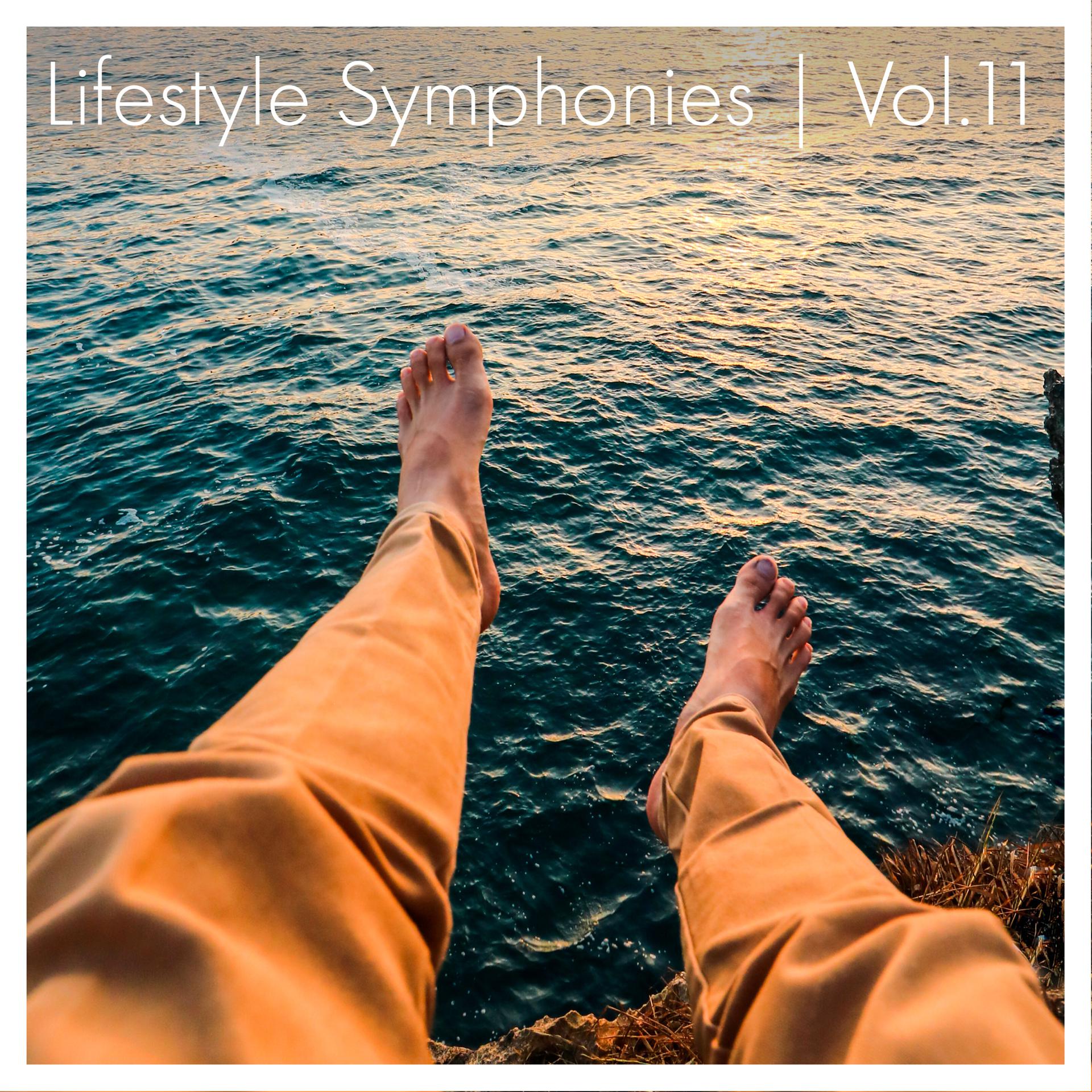 Постер альбома Lifestyle Symphonies, Vol. 11