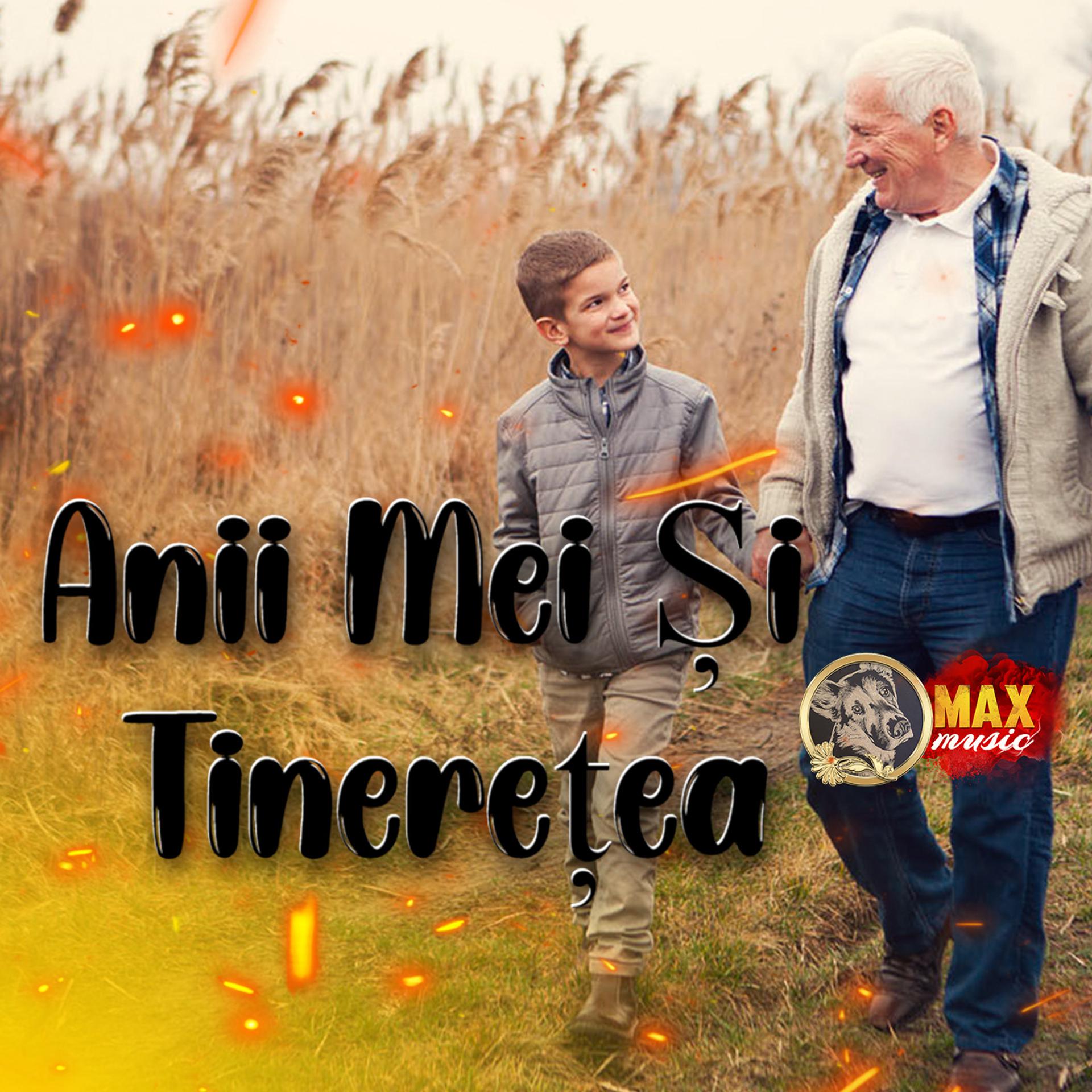 Постер альбома Anii Mei Și Tinerețea