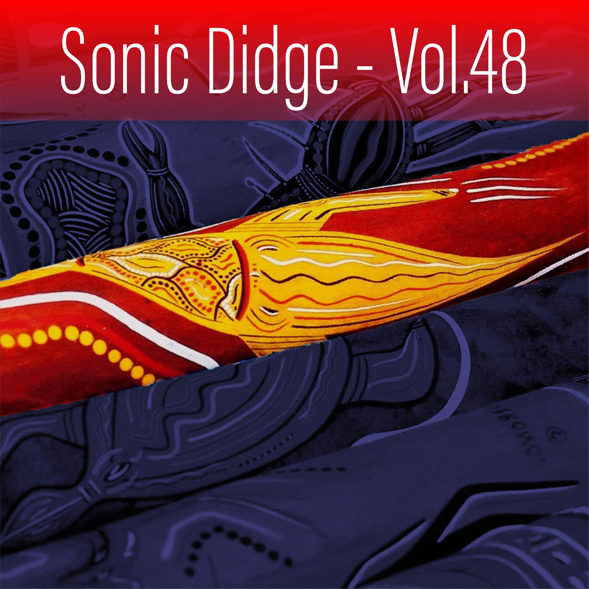 Постер альбома Sonic Didge, Vol. 48