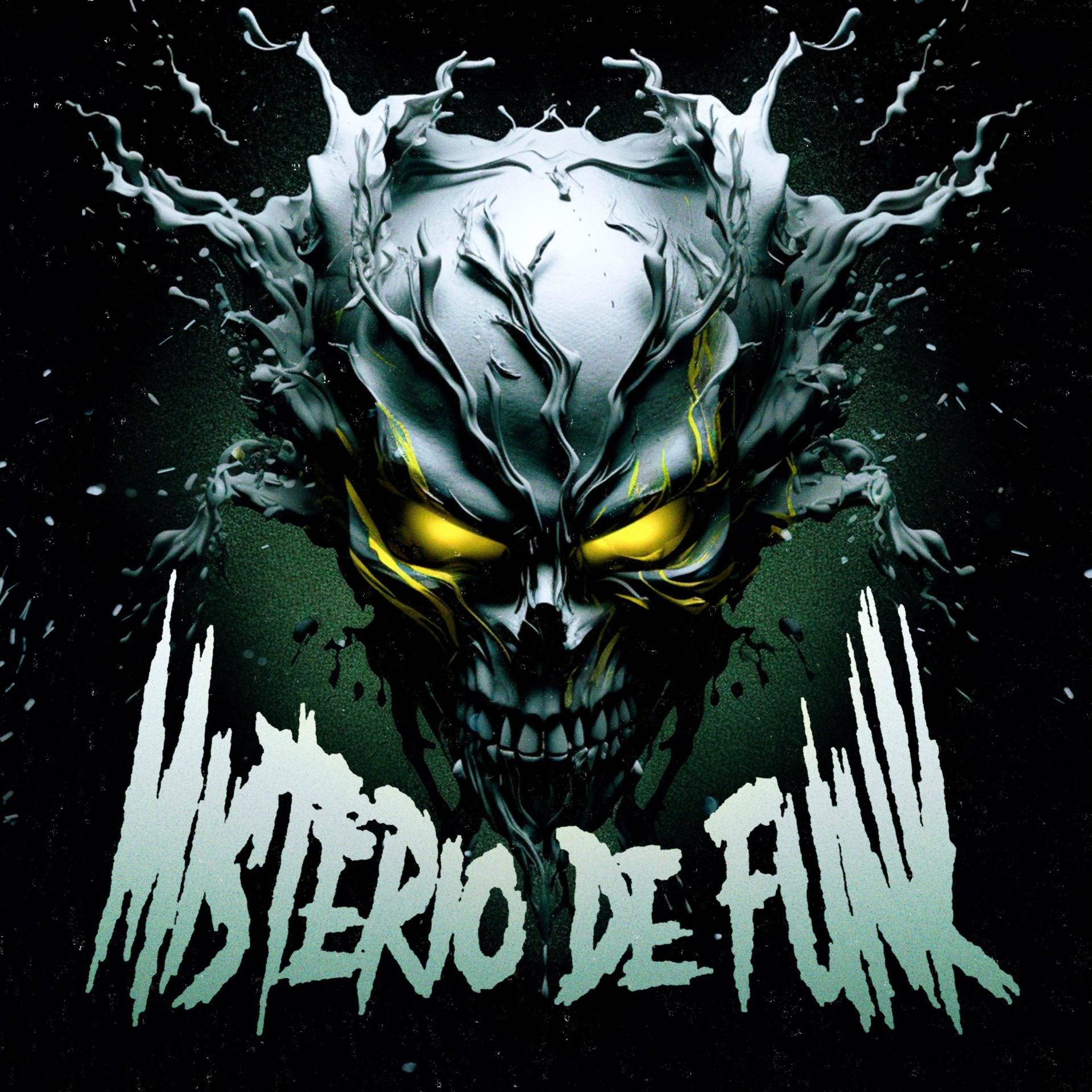Постер альбома Mistério de funk
