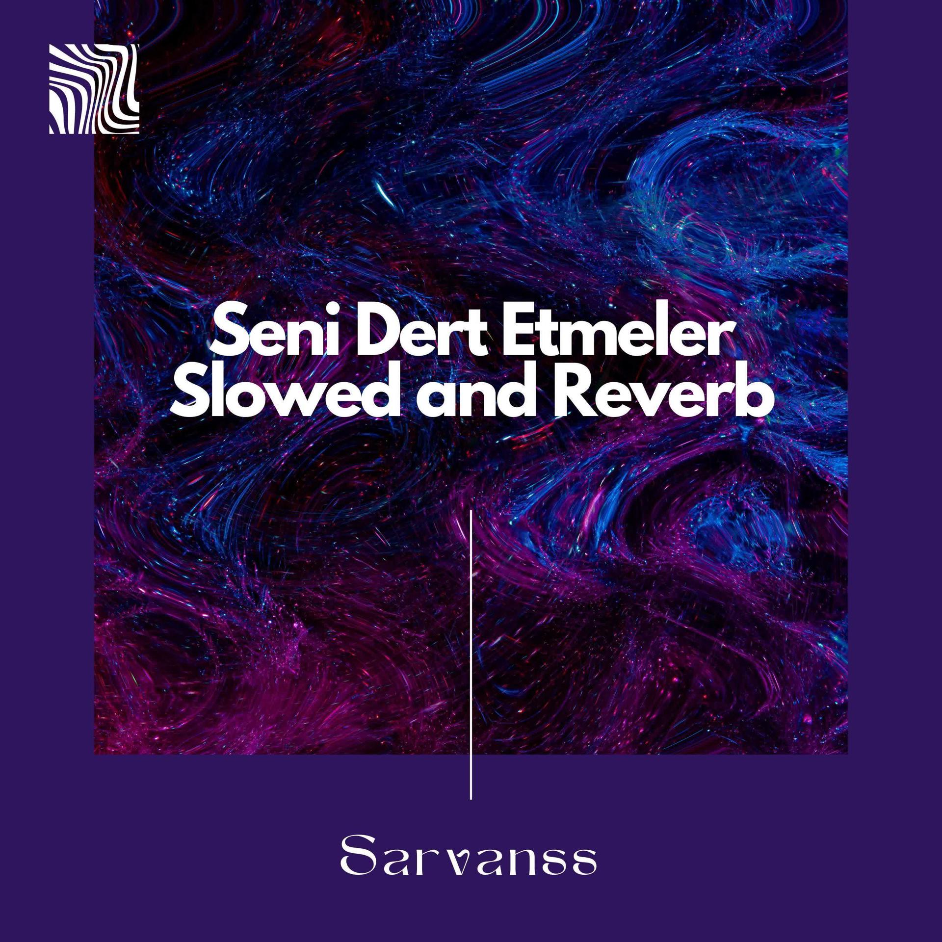 Постер альбома Seni Dert Etmeler