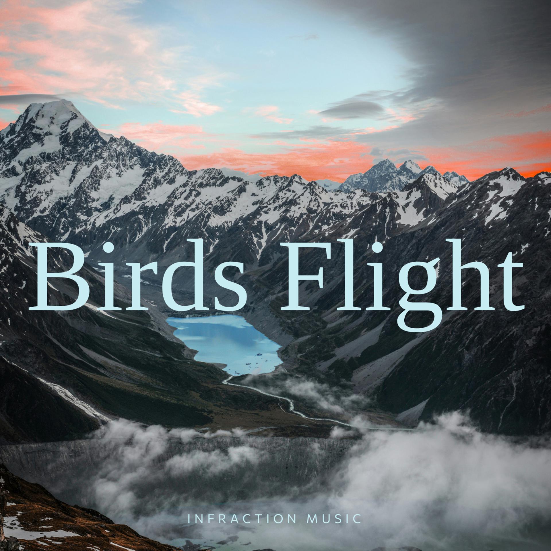 Постер альбома Birds Flight
